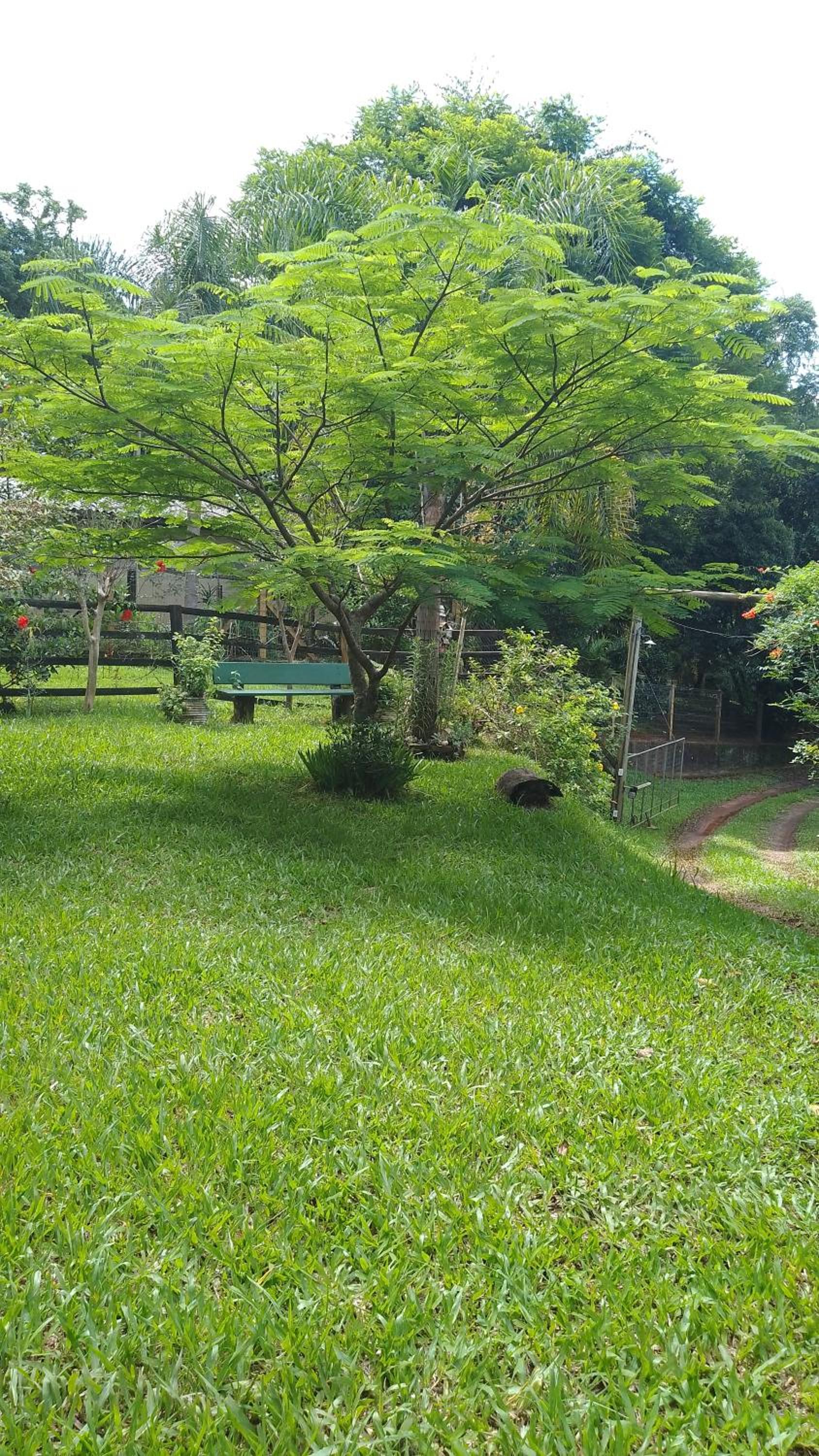 Sobrado flor da laranjeira
