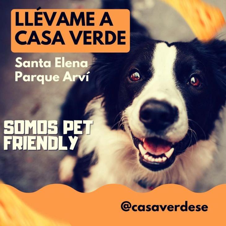 Hermosa cabaña con huerta - Casa verde