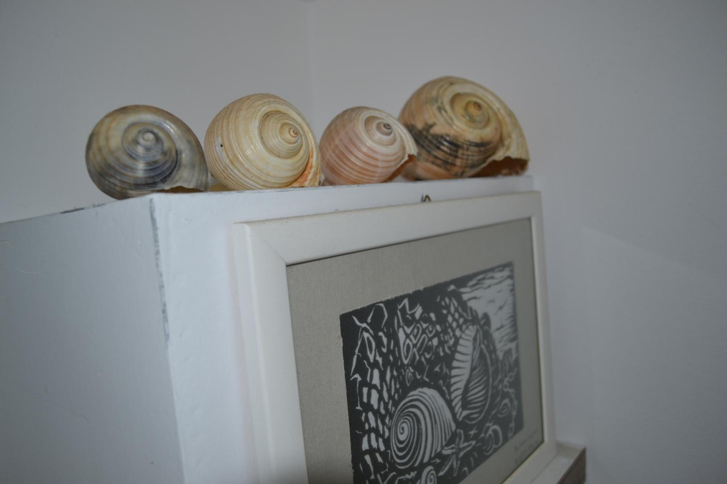 Seashell Art Decor Studio & Private Garage