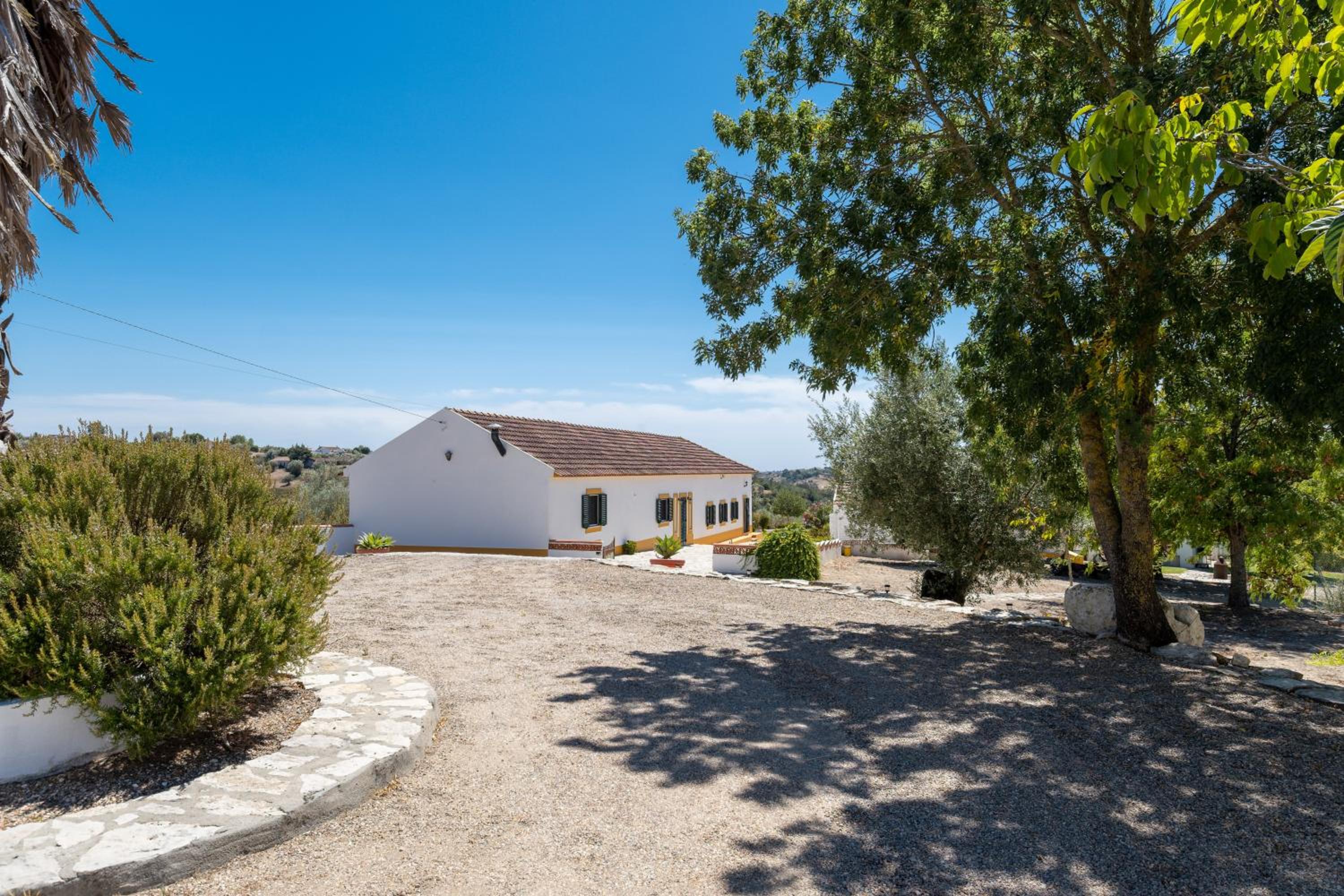 Country House - Quinta das 3 Nogueiras view 3