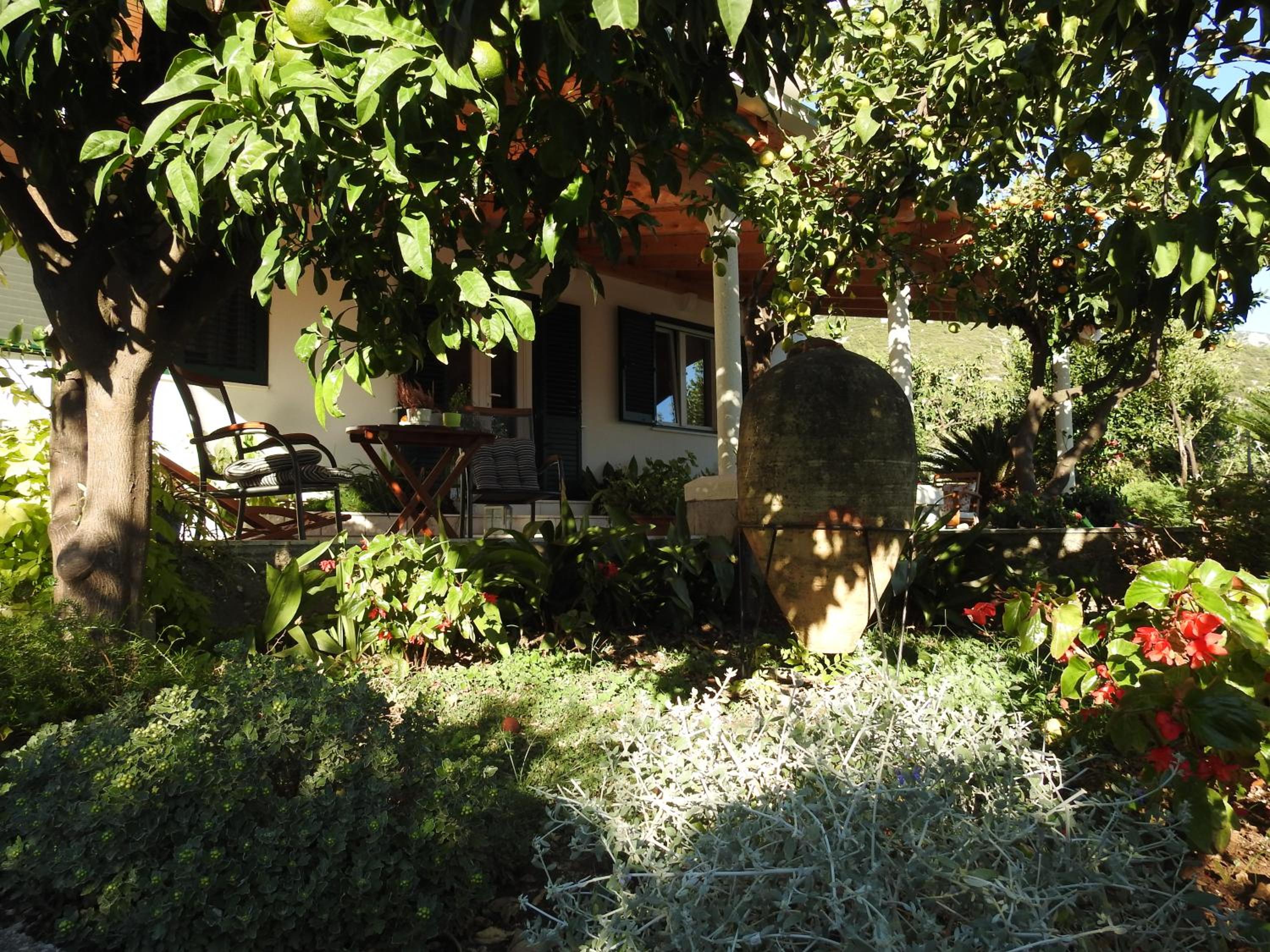 Photo 30