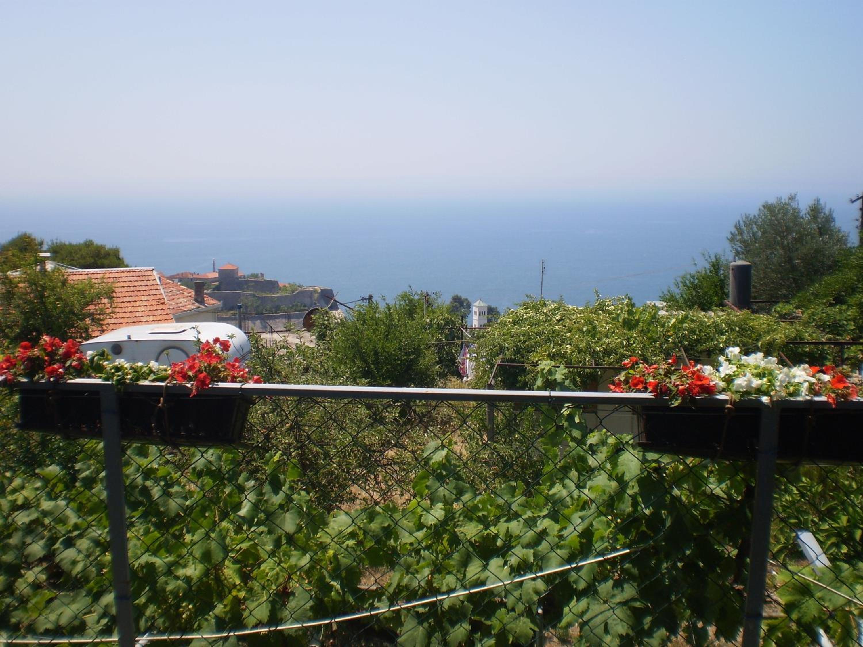 Photo 40