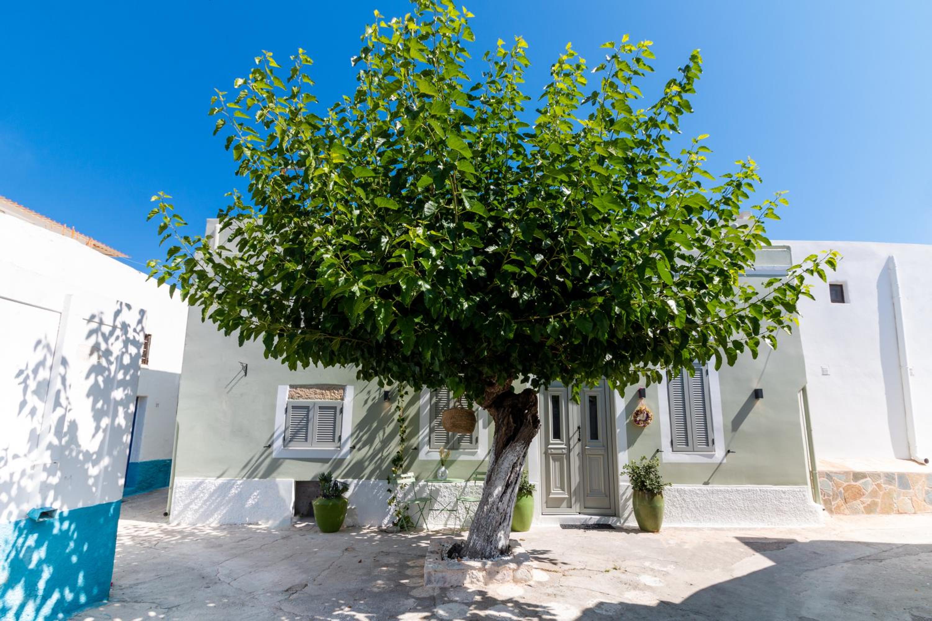 Hotel Mounouria House Koskinou