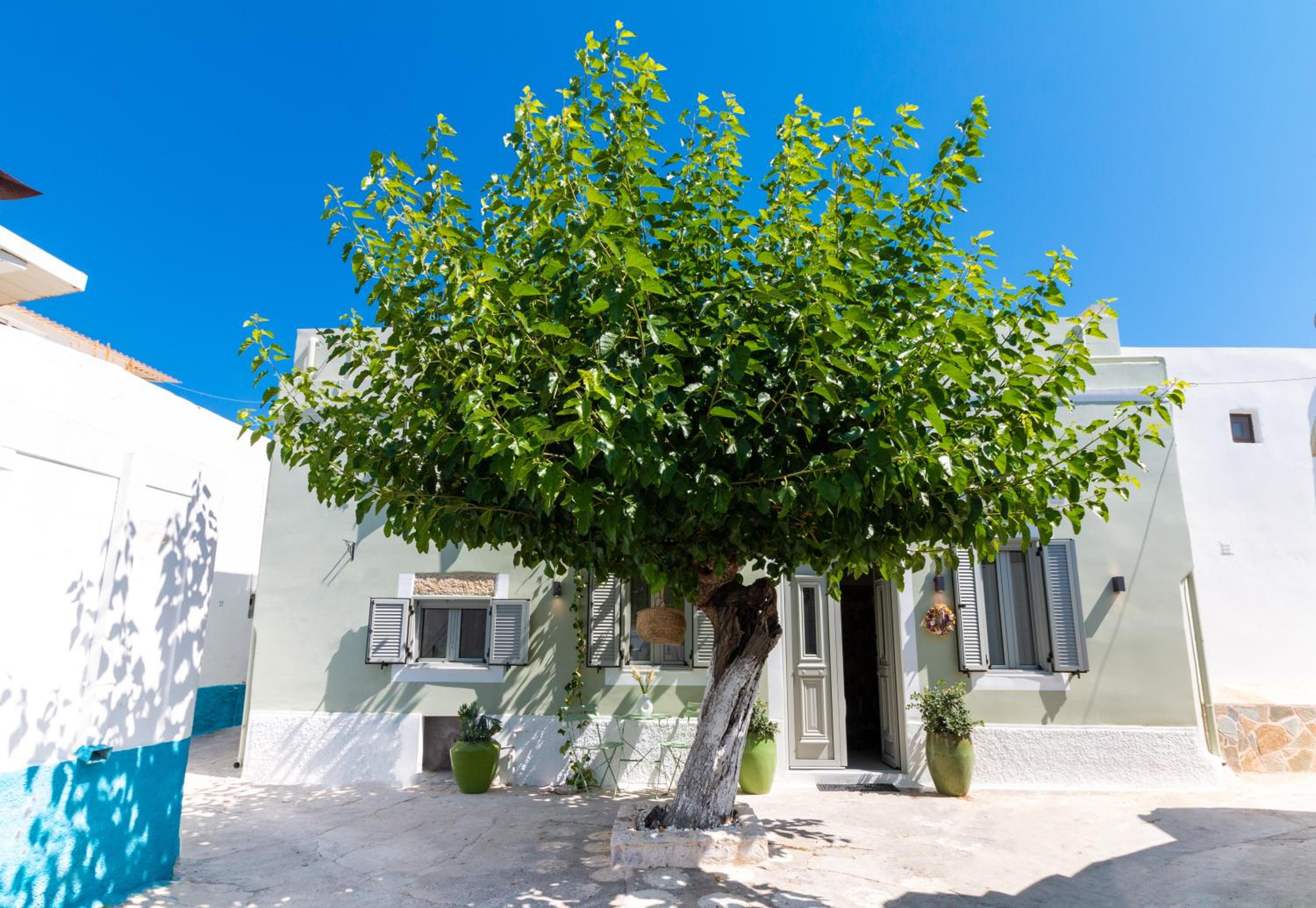 Mounouria House Koskinou