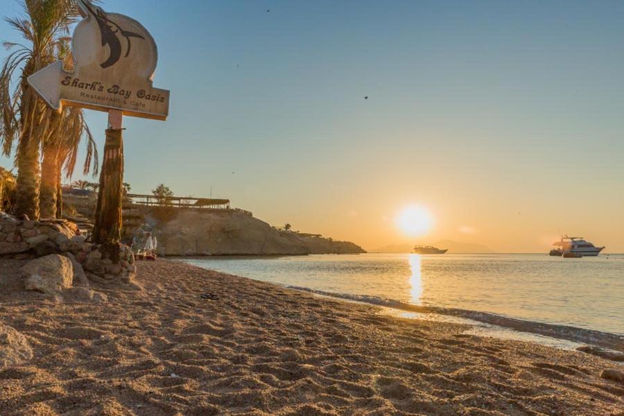 Sharks Bay Oasis Hotel