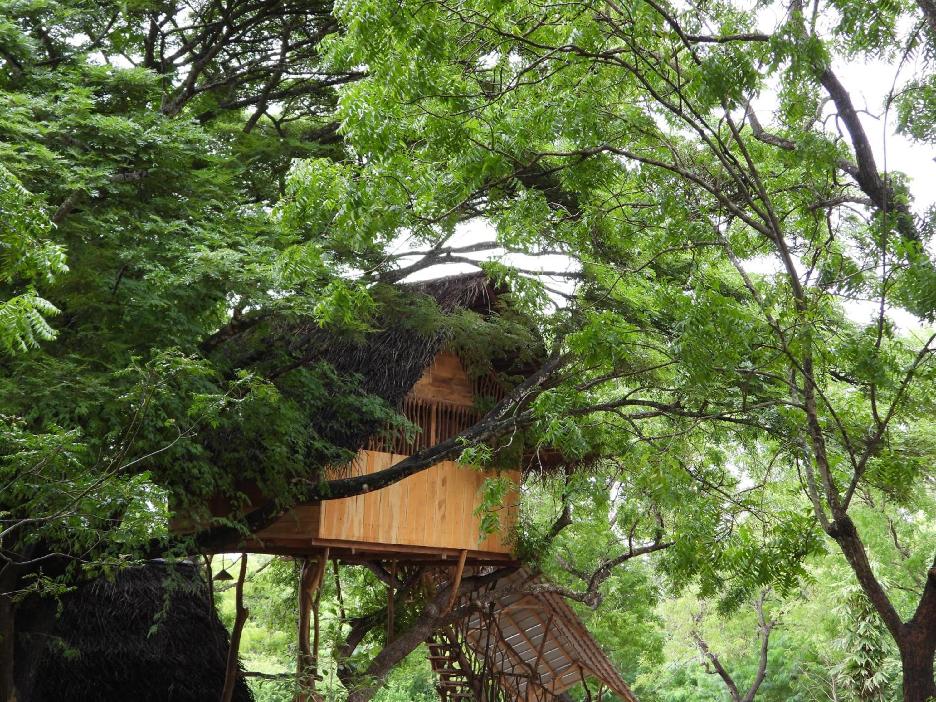 Yala Village Eco Tree House view 5