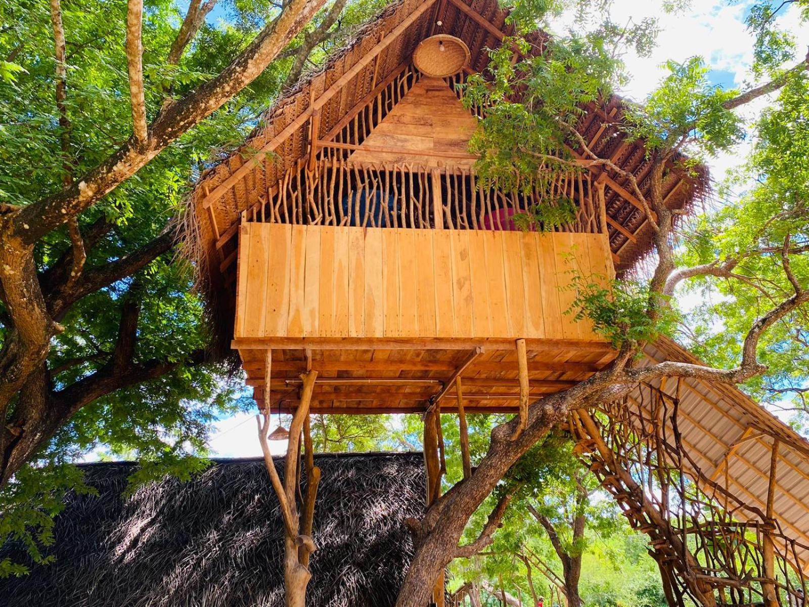 Yala Village Eco Tree House view 4
