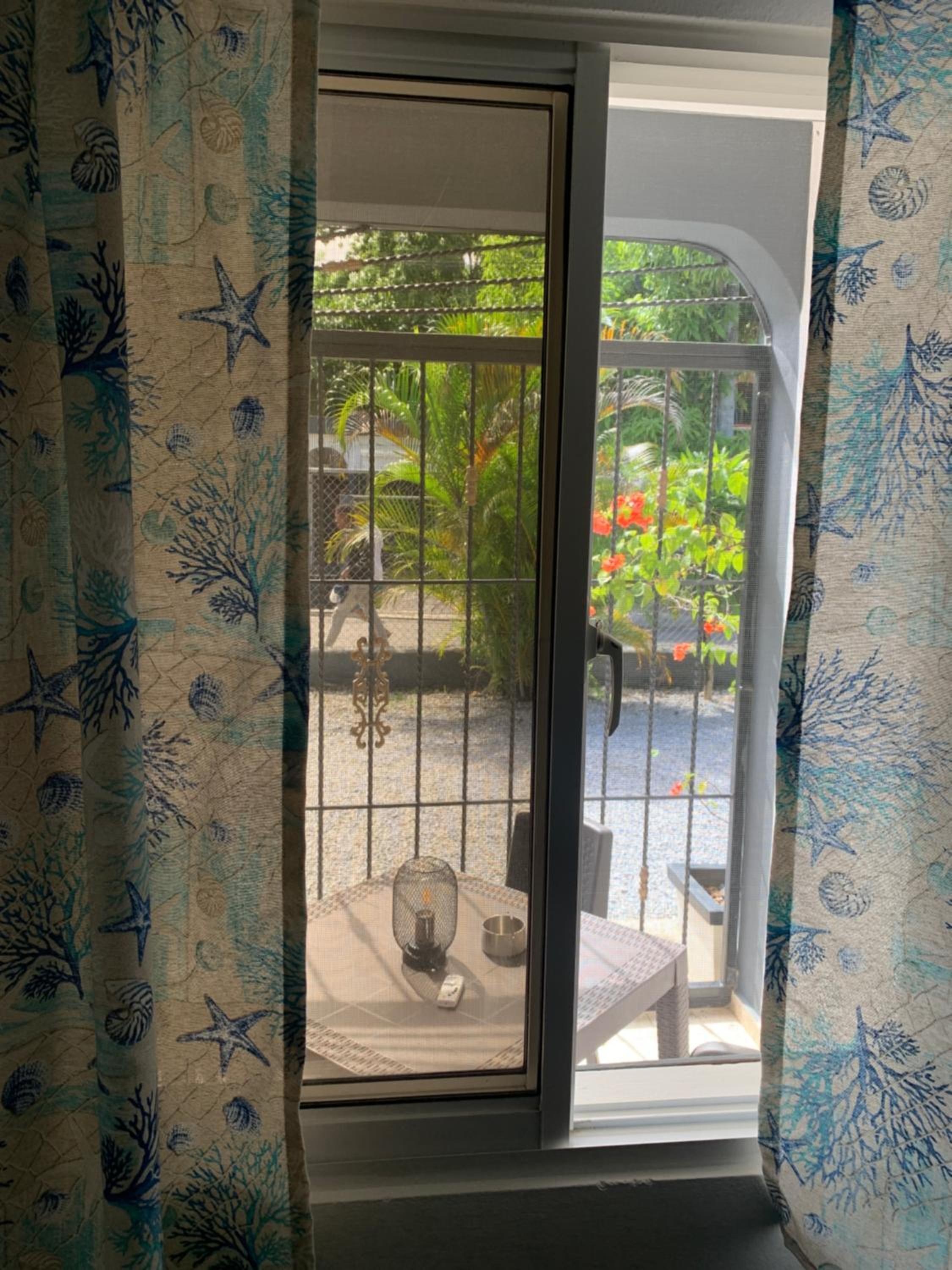Caribbean Domicile