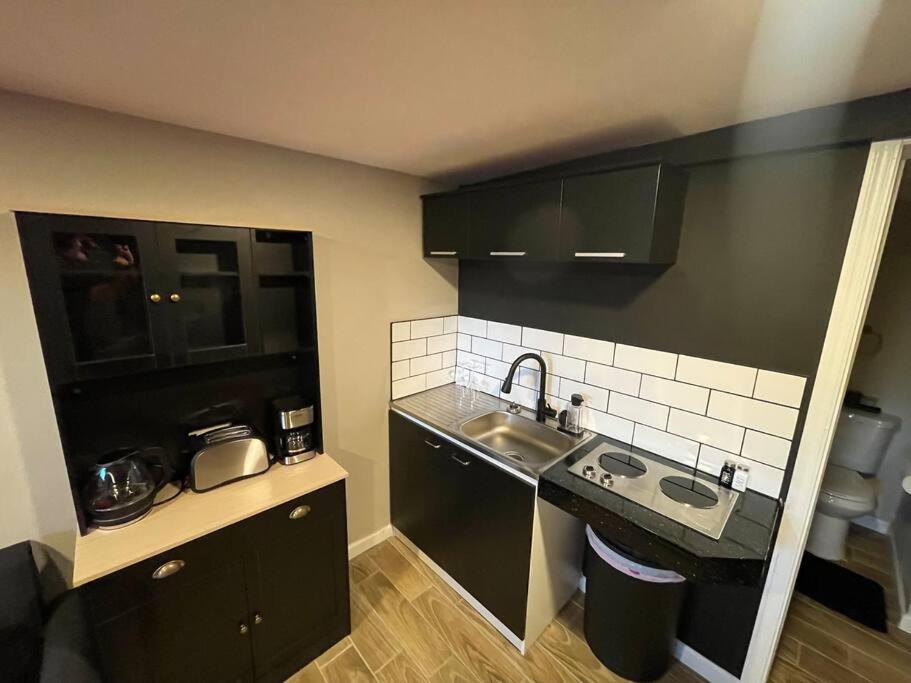 New Midtown Modern Studio With Backyard (Unit B) view 4