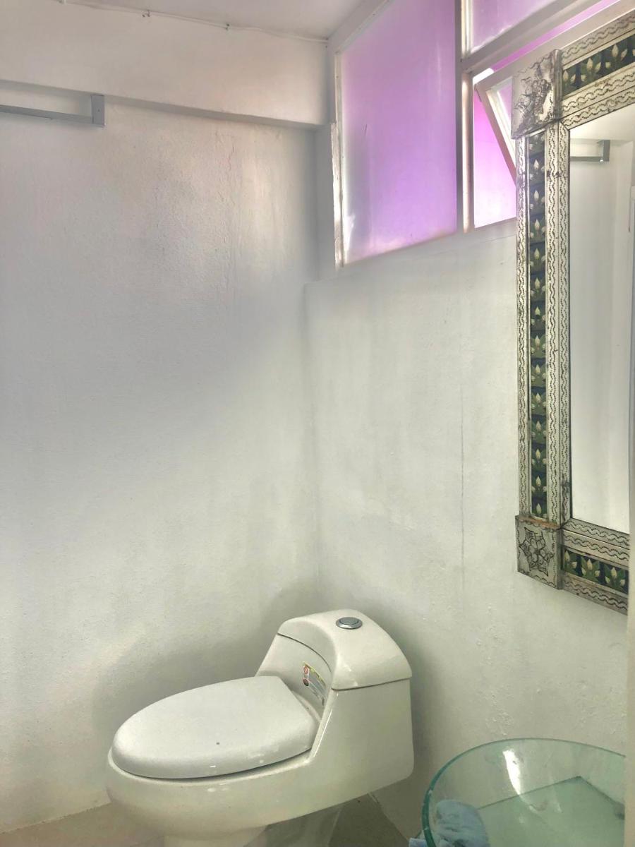 Photo 43