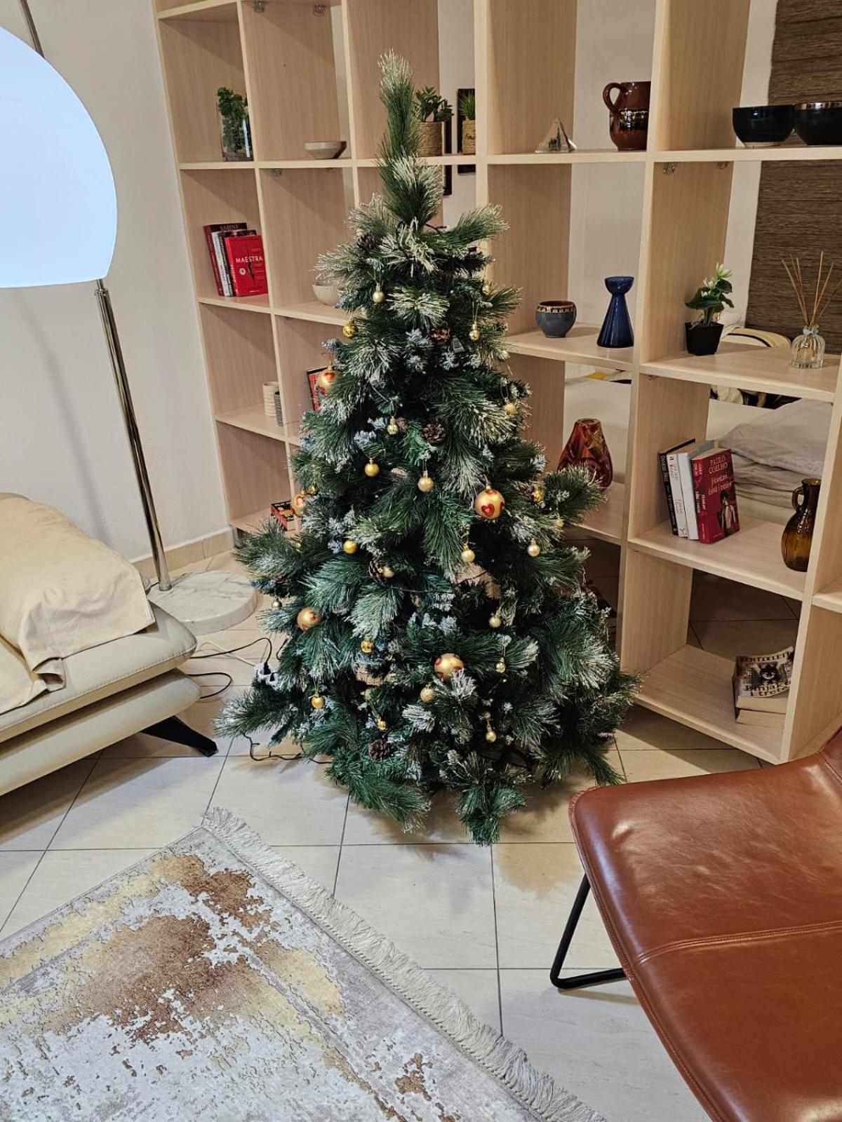 Tirana Center Apartment 12