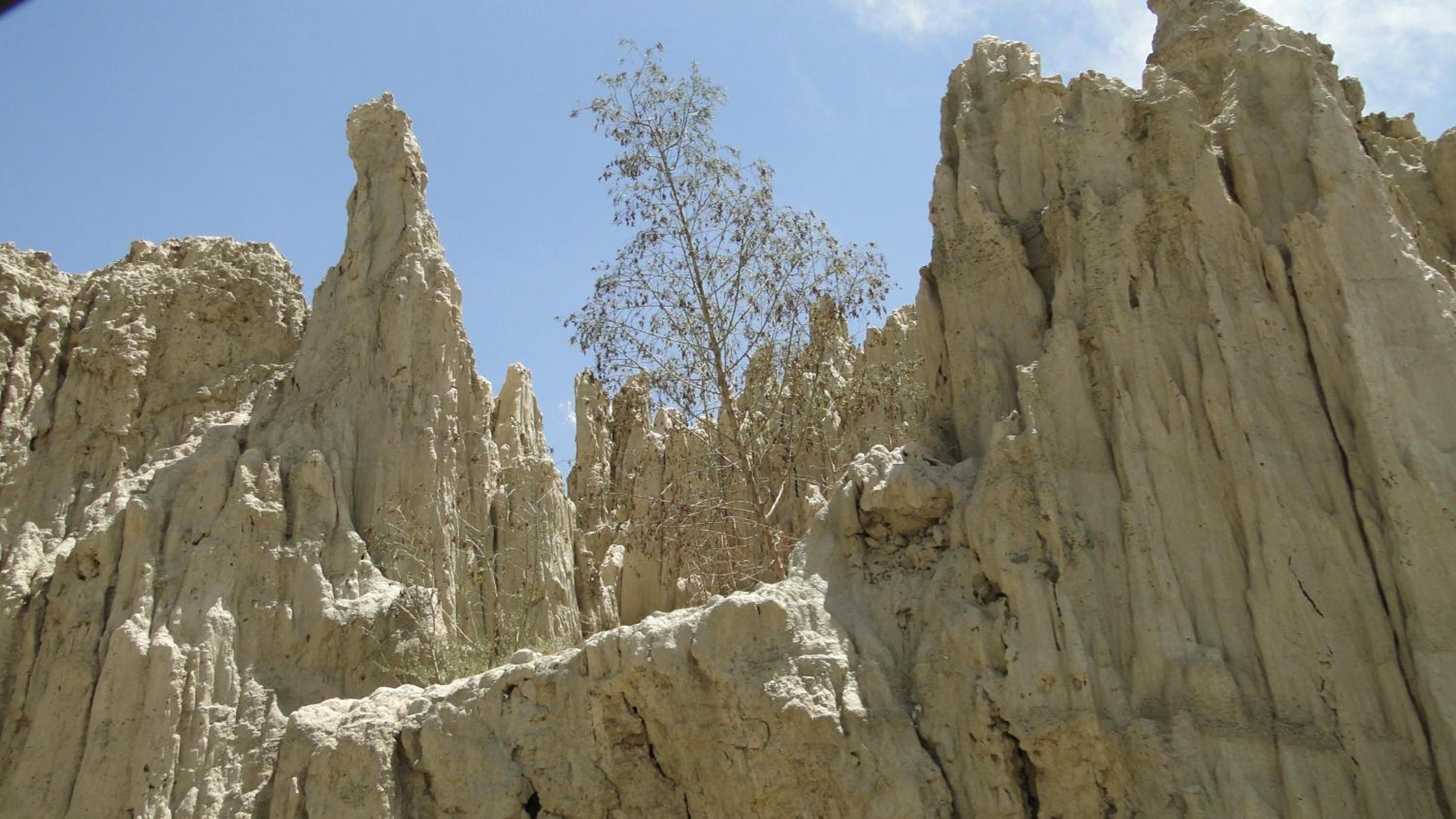 HABITARE
