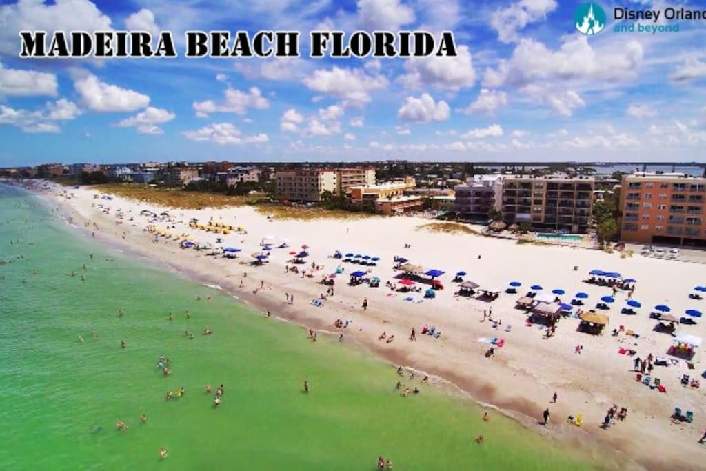 Avalon Condo in Clearwater Minutes From Clearwater Beach view 3
