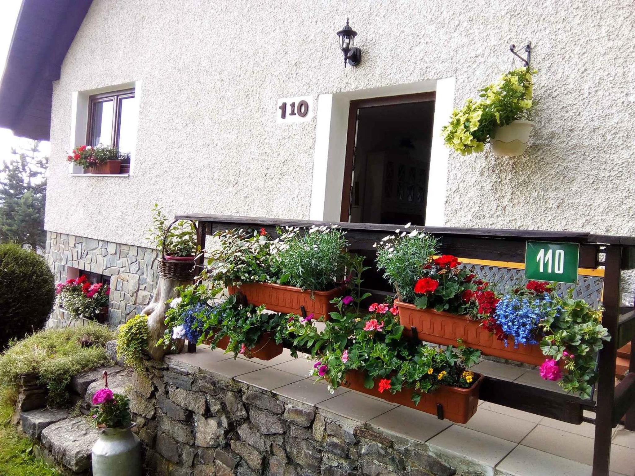 Holiday home in Marianska - Erzgebirge 1664