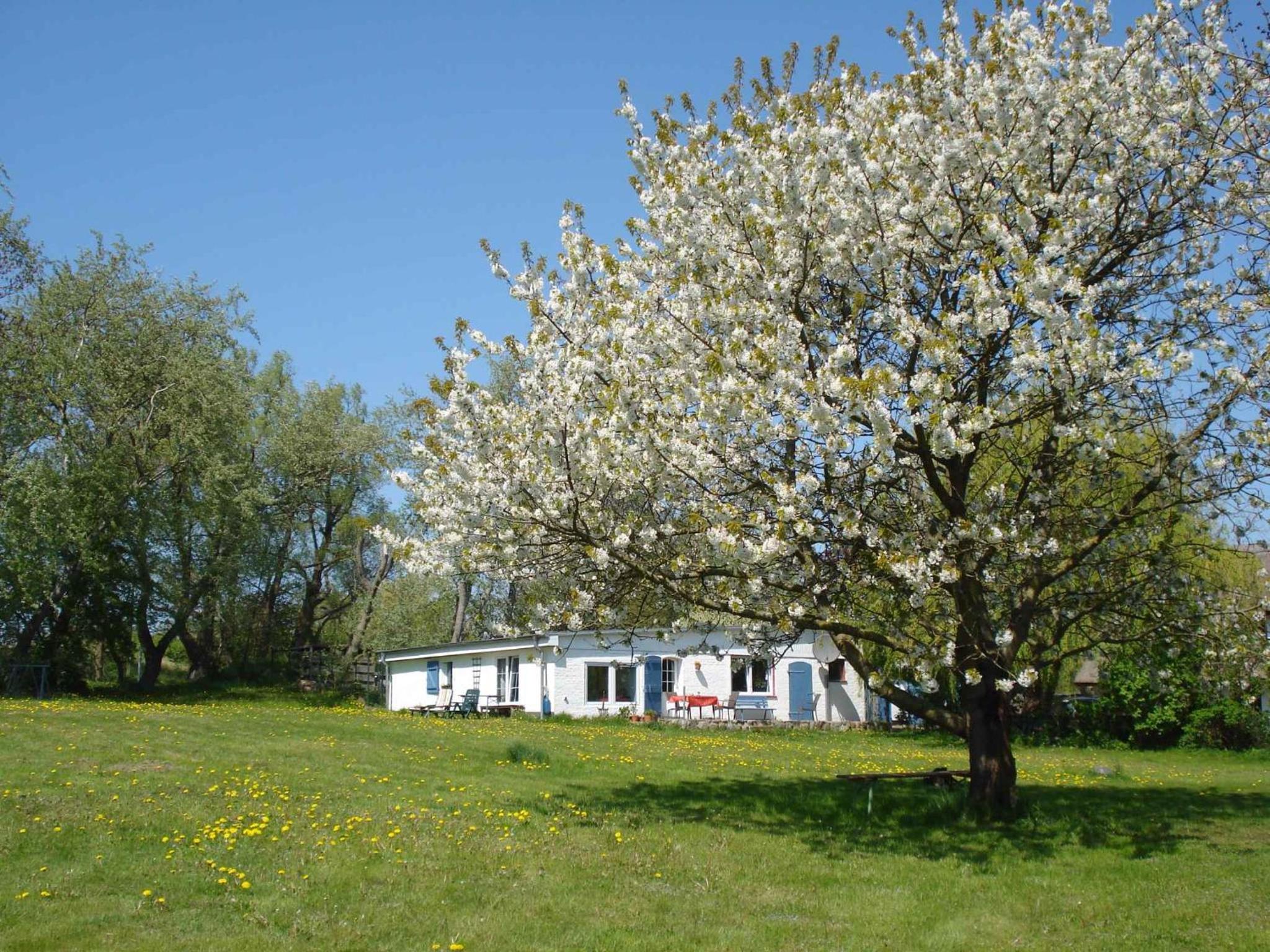 Holiday Homes Puddemin - Insel Rügen 3073 view 3