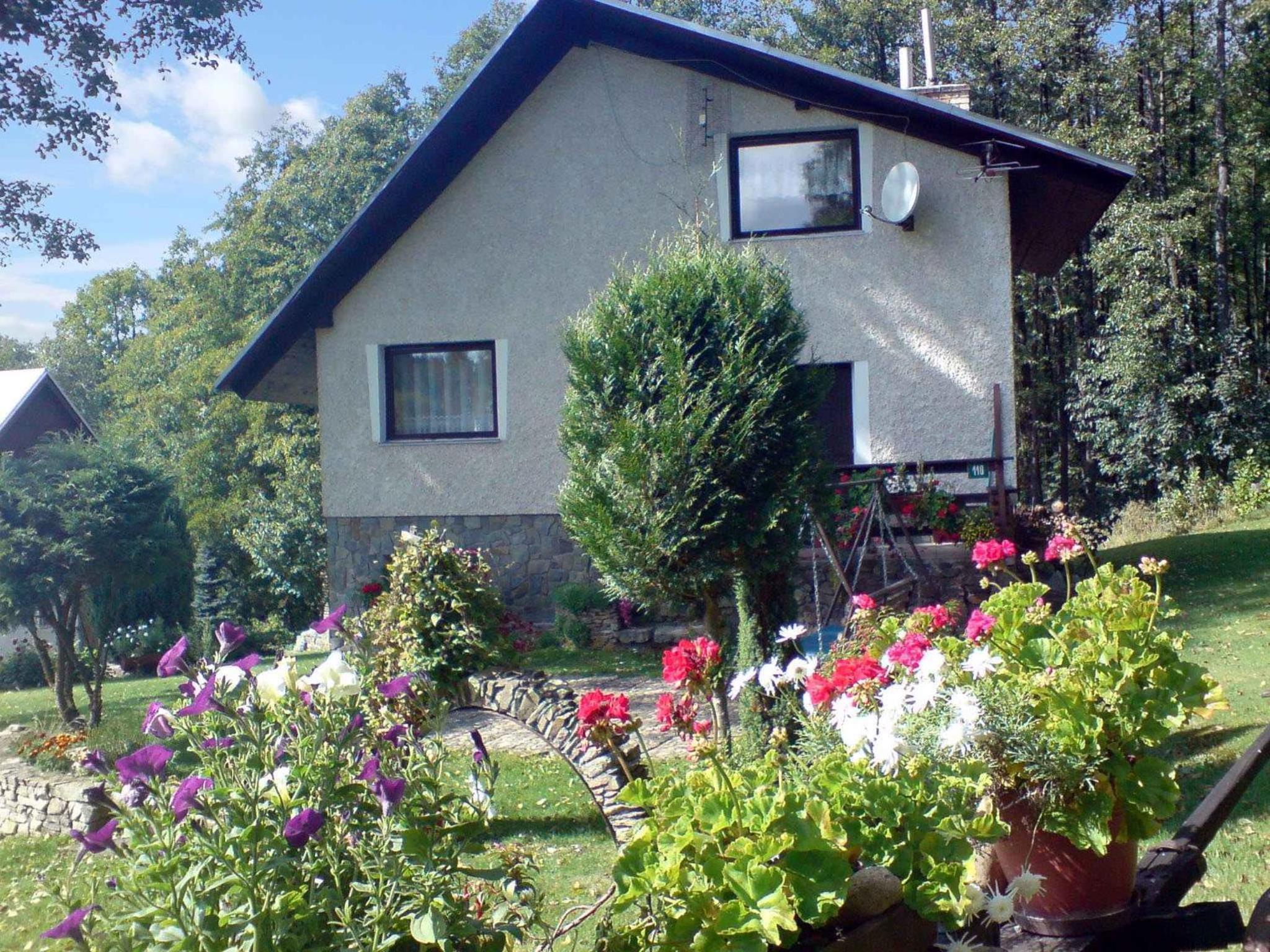 Holiday home in Marianska - Erzgebirge 1664