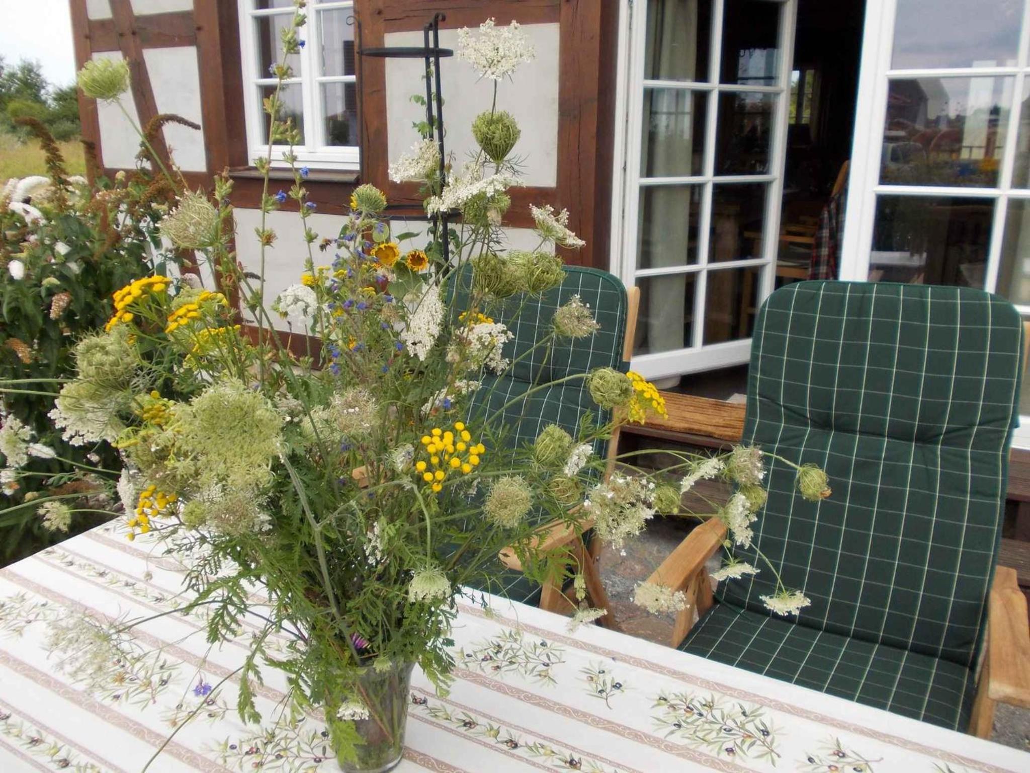Holiday home in Dranske - Insel Rügen 33030