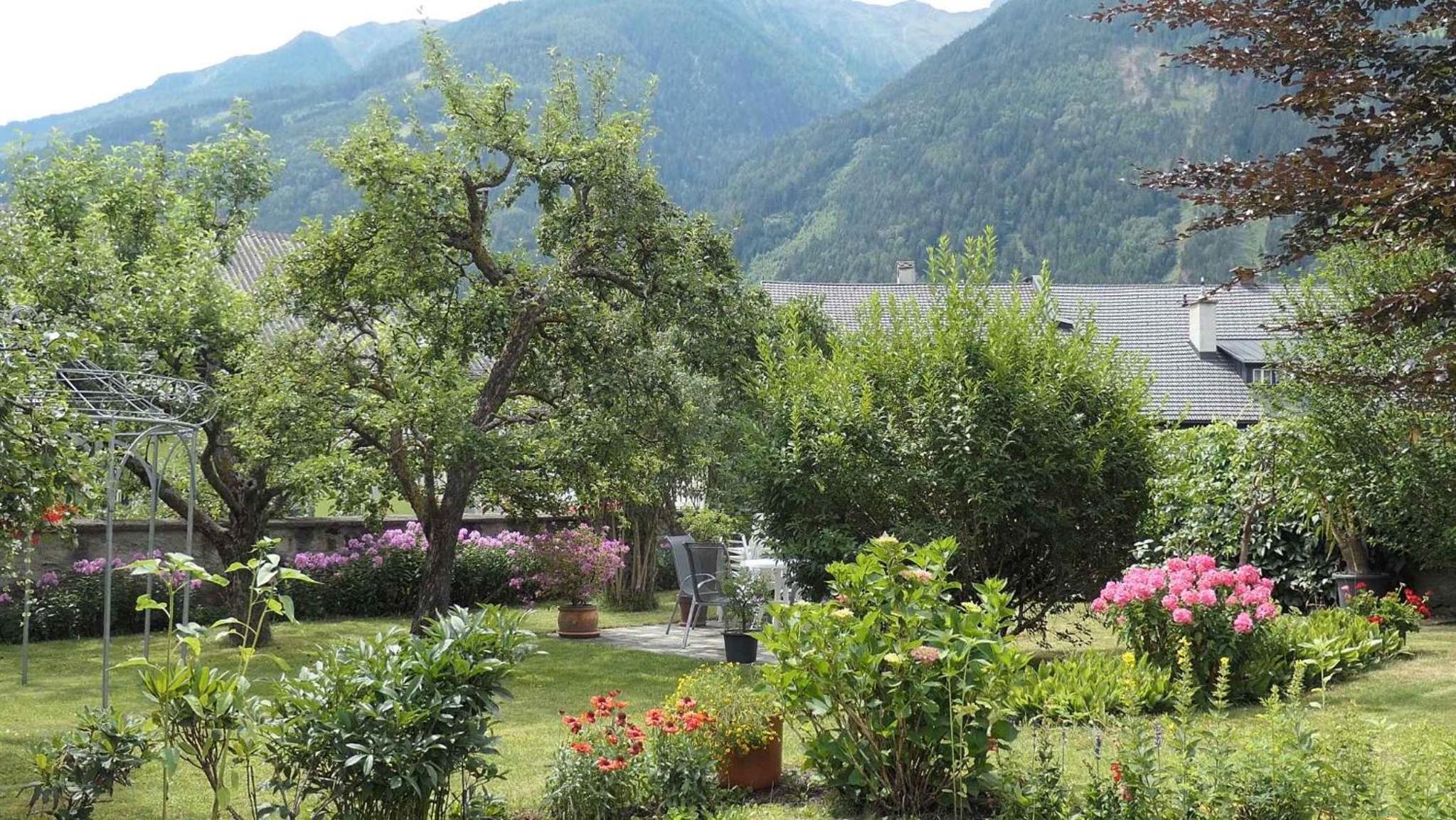 Apartments in Obervellach - Kärnten 53