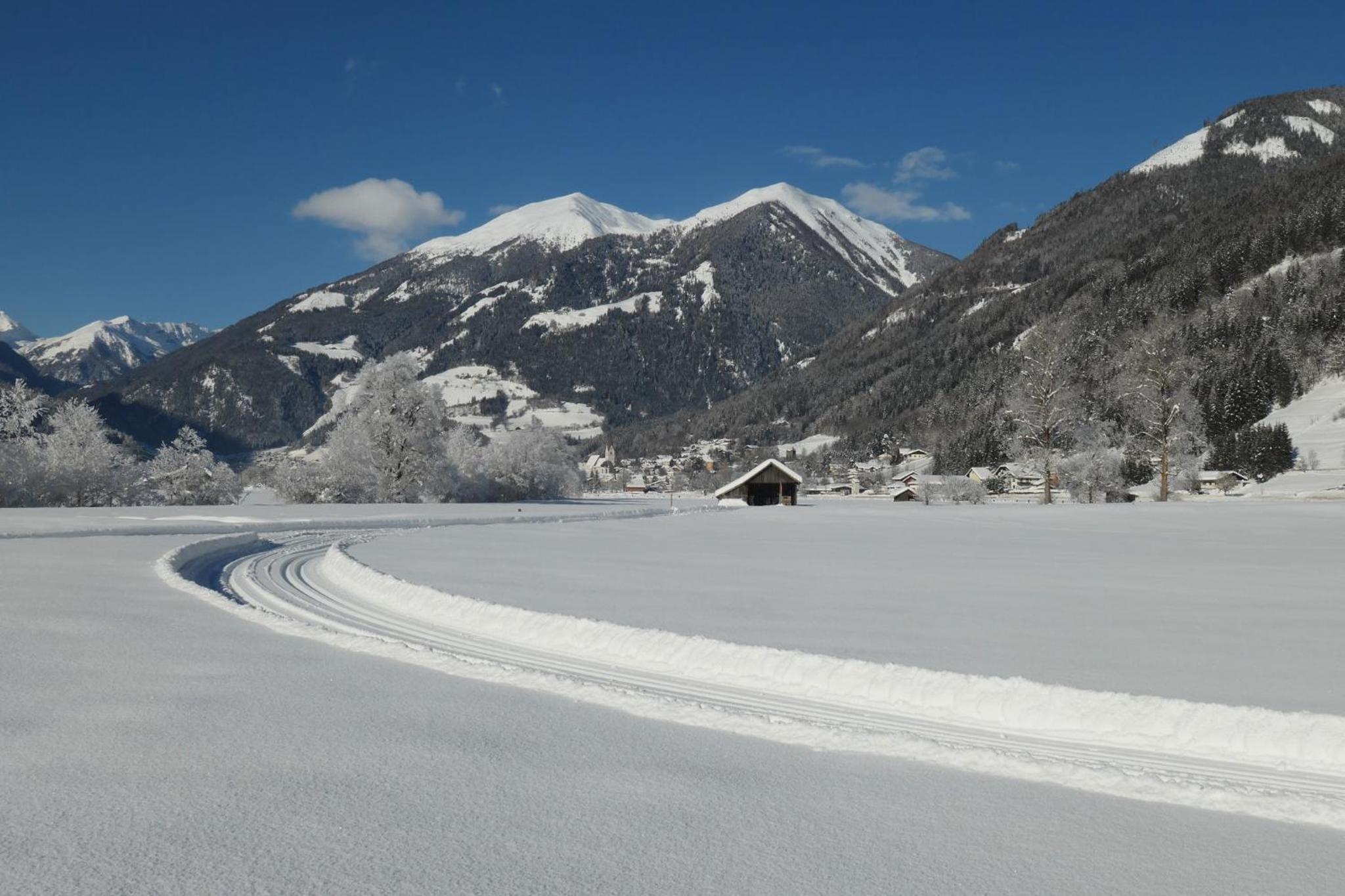 Apartments in Obervellach - Kärnten 53