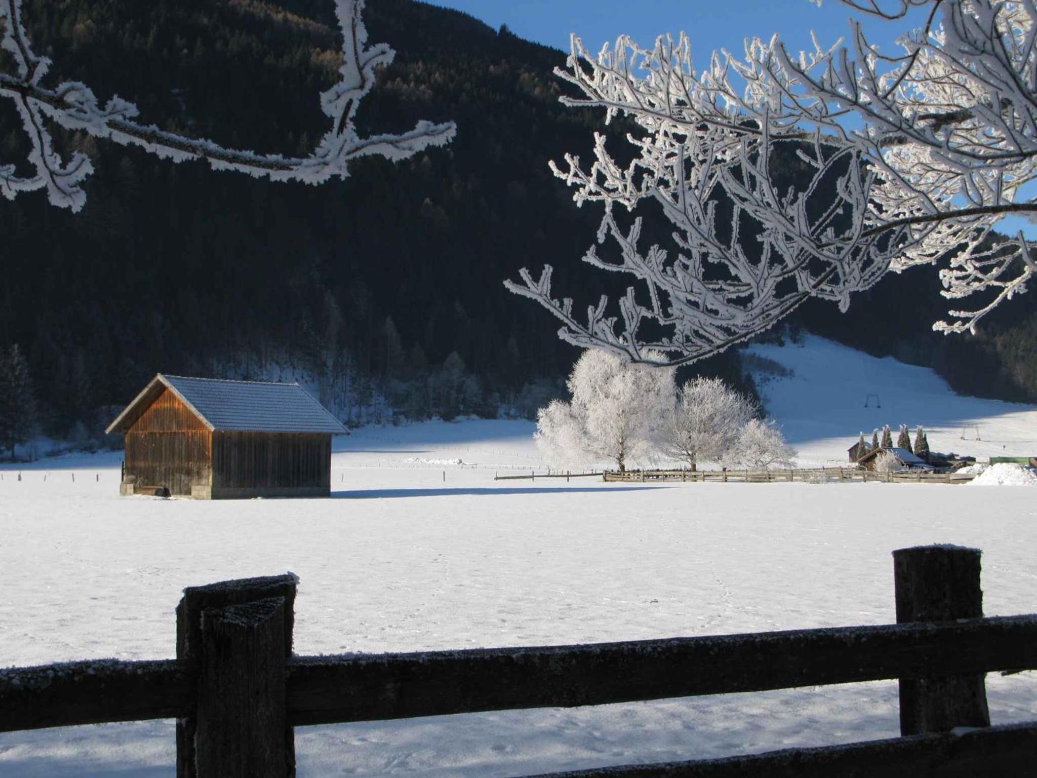 Apartments in Obervellach - Kärnten 53