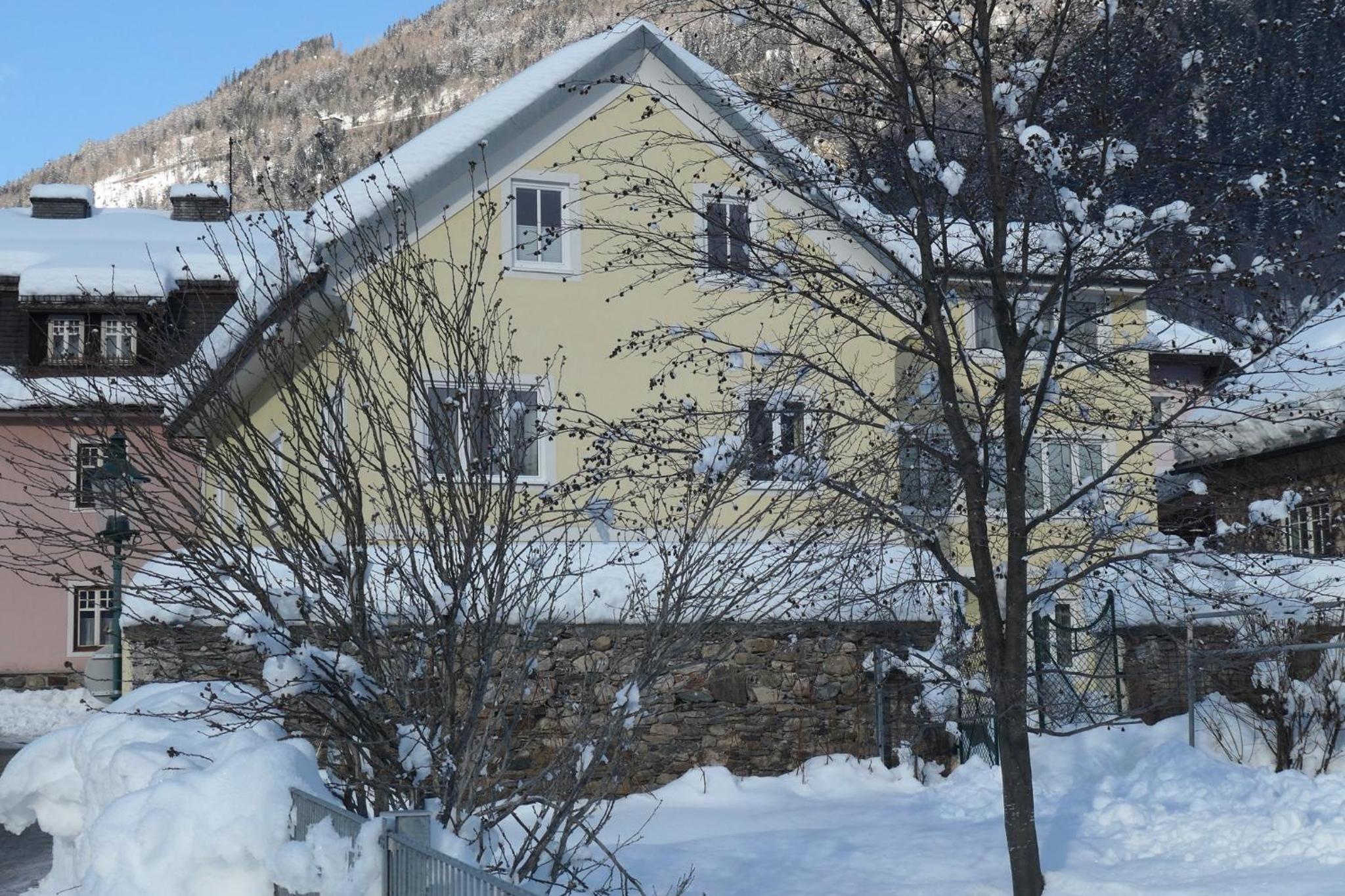 Apartments in Obervellach - Kärnten 53