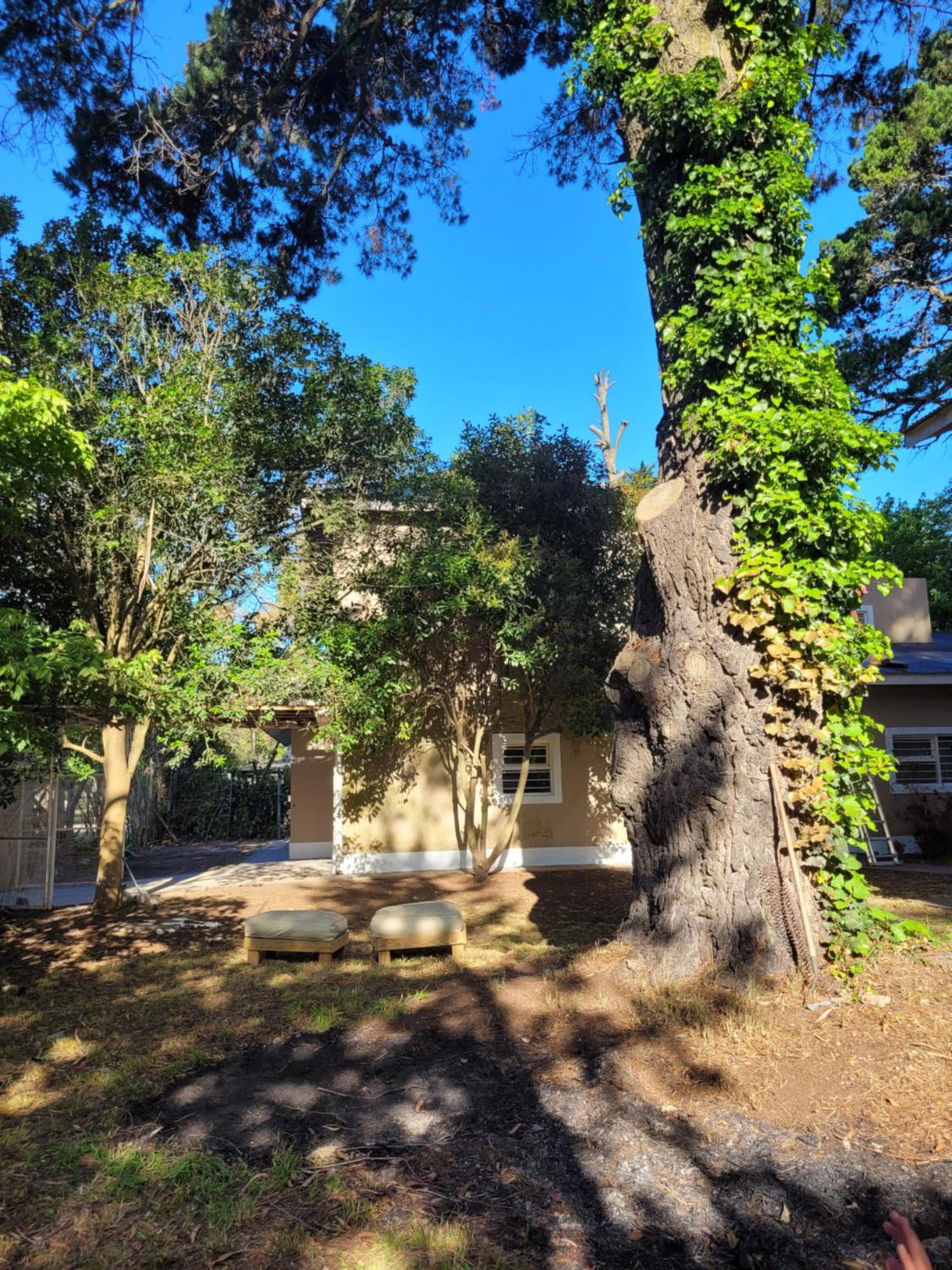 Casa El Sosiego, Reserva Forestal