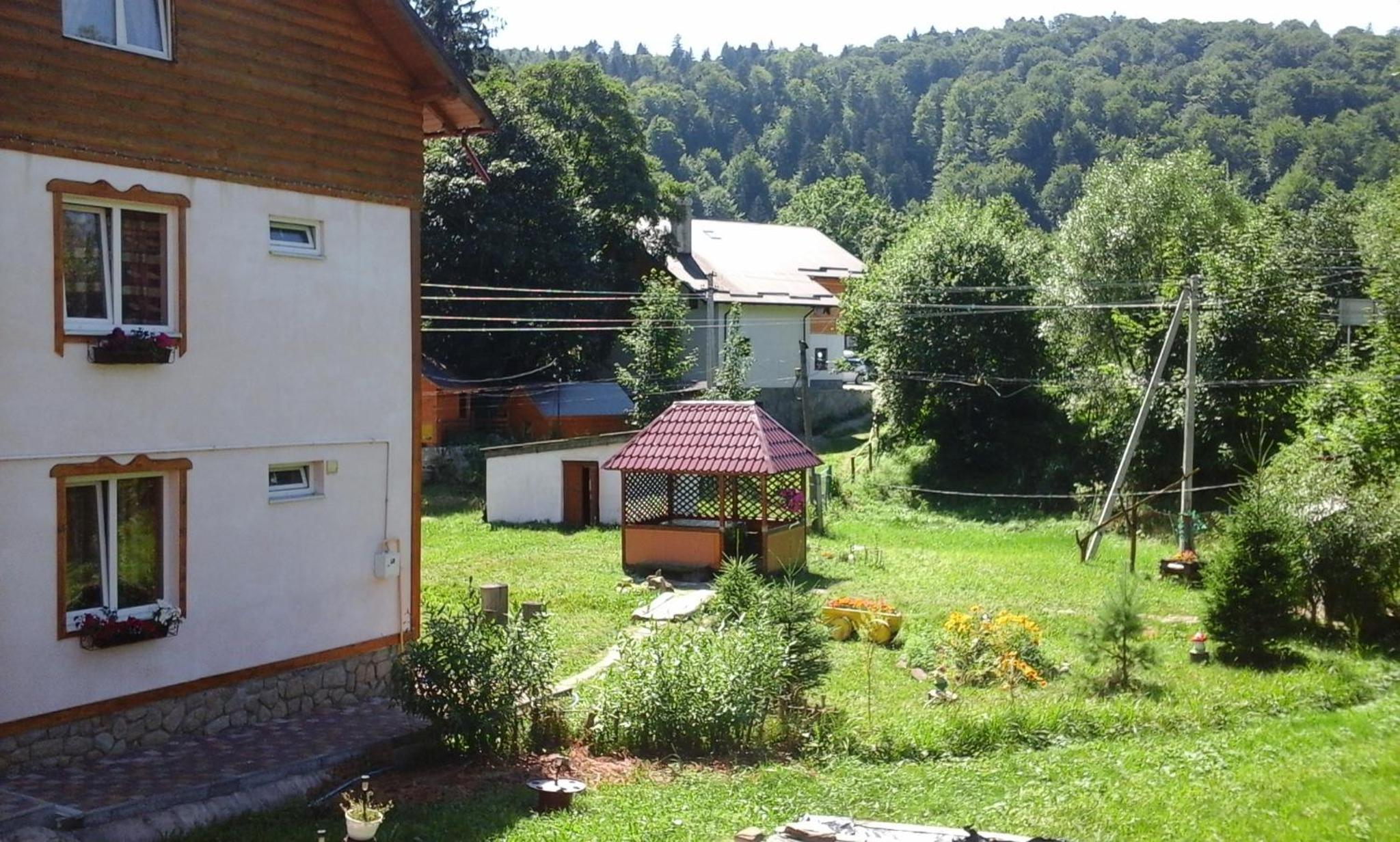 Photo 11