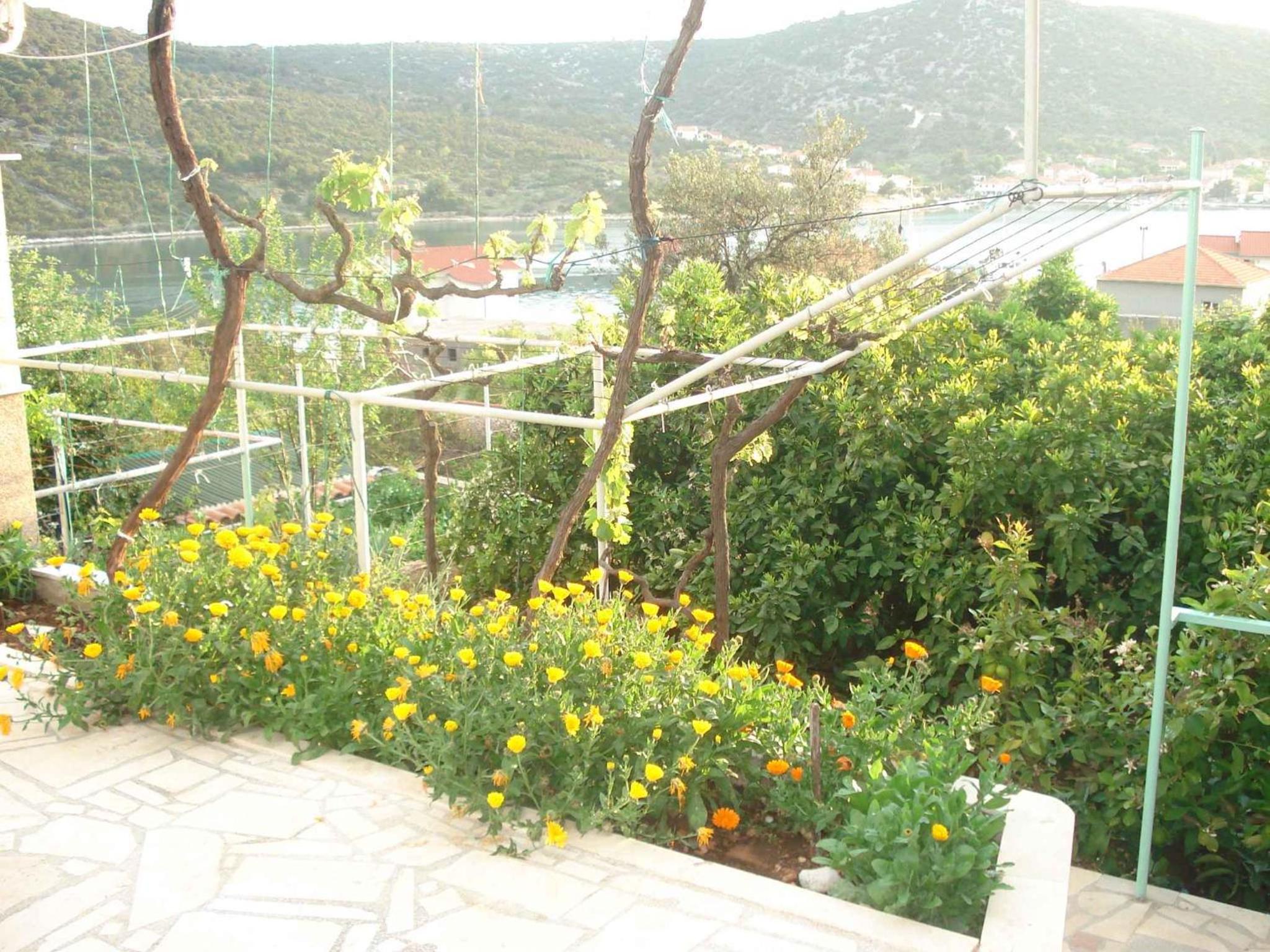 Apartments in Vinisce 7337 view 4