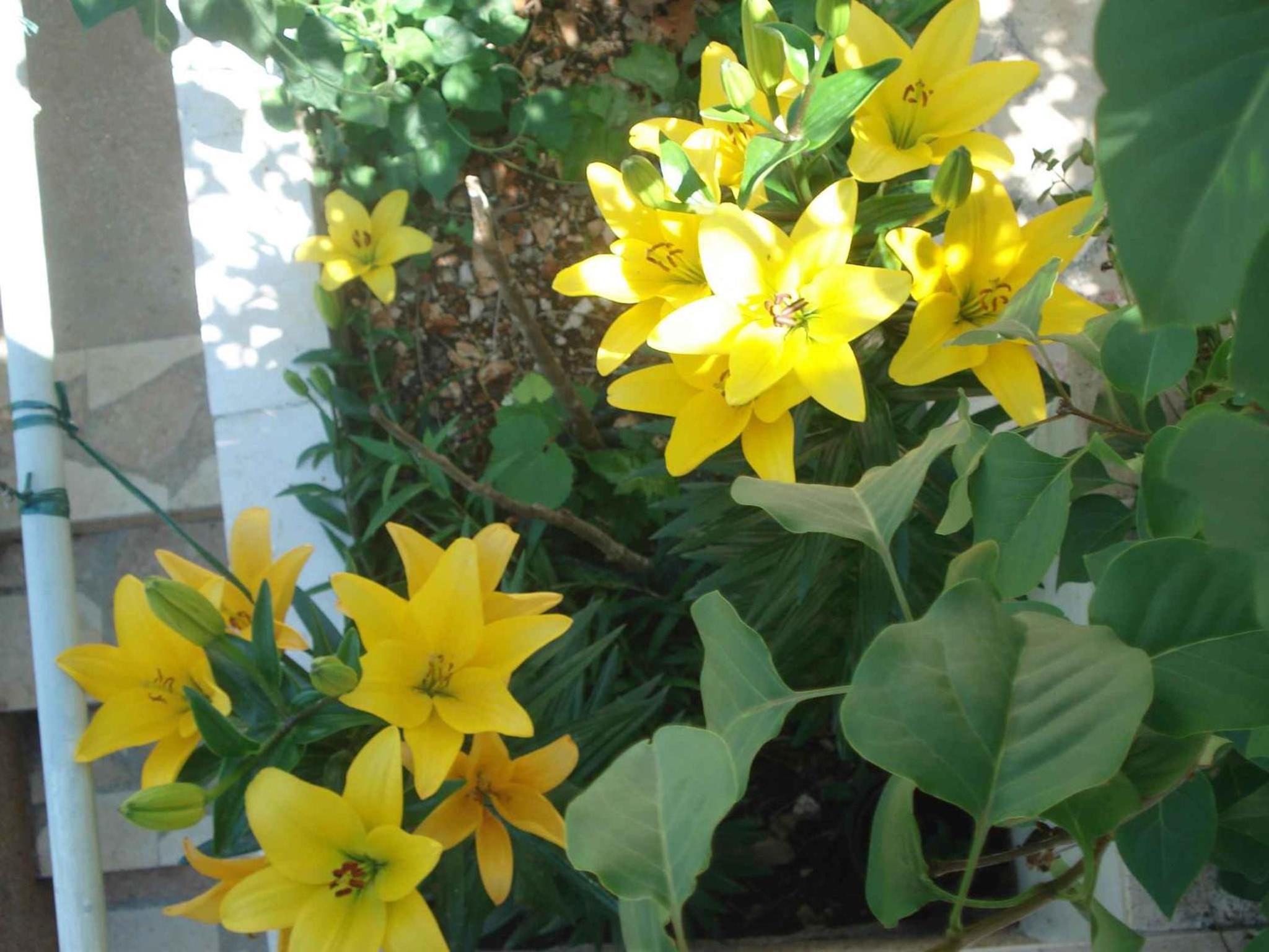 Photo 10