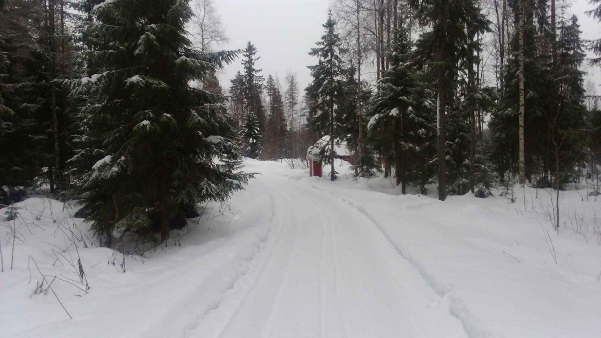 Photo 14