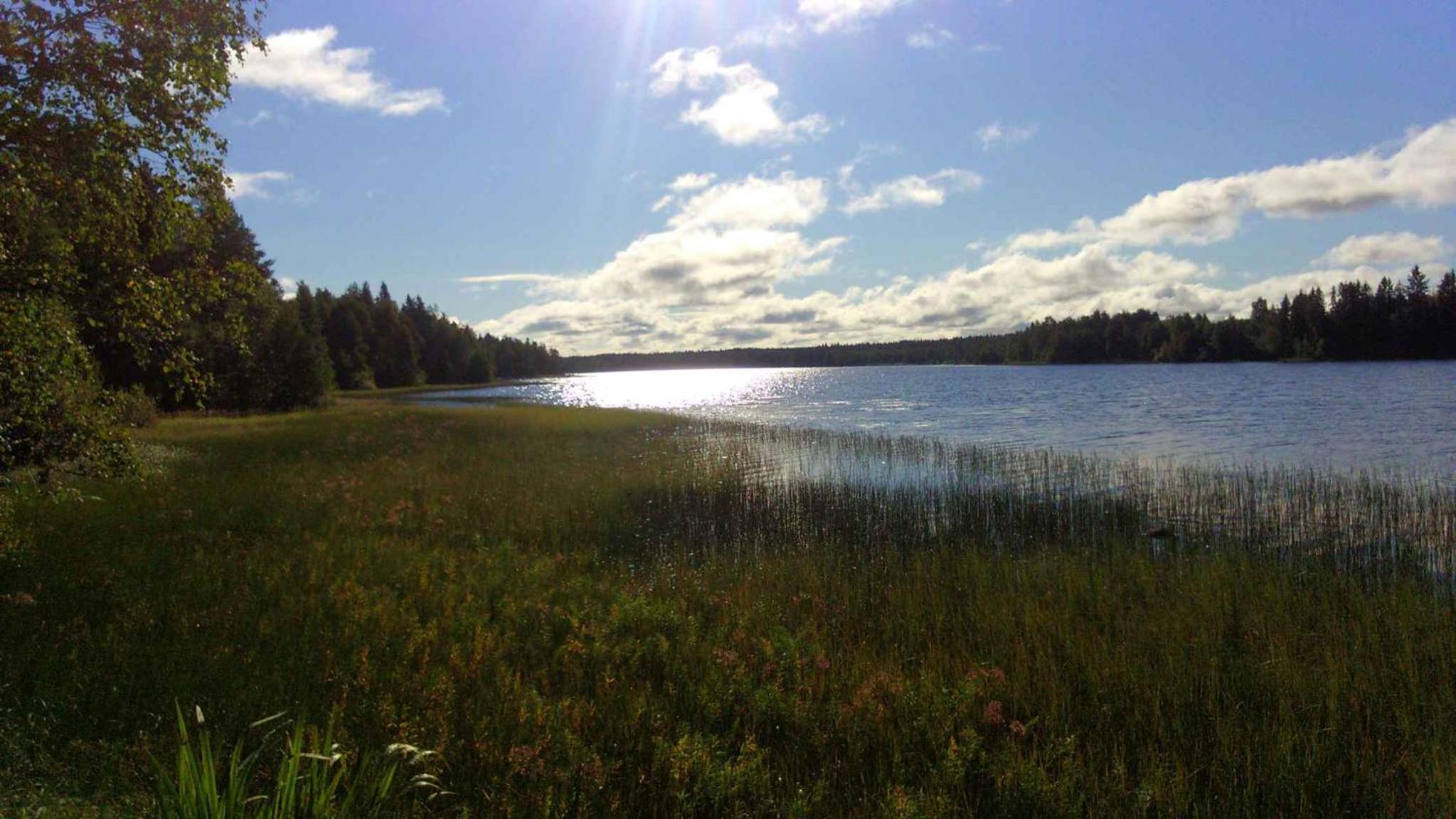 Photo 40