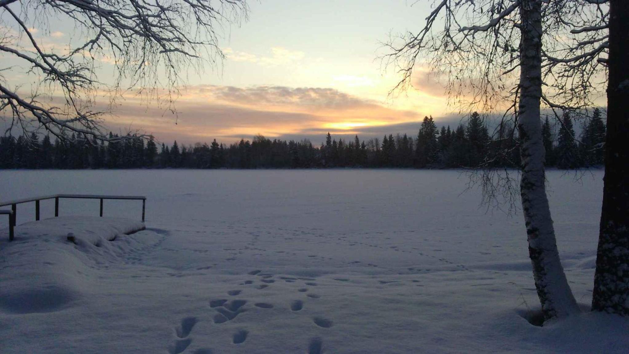 Photo 41