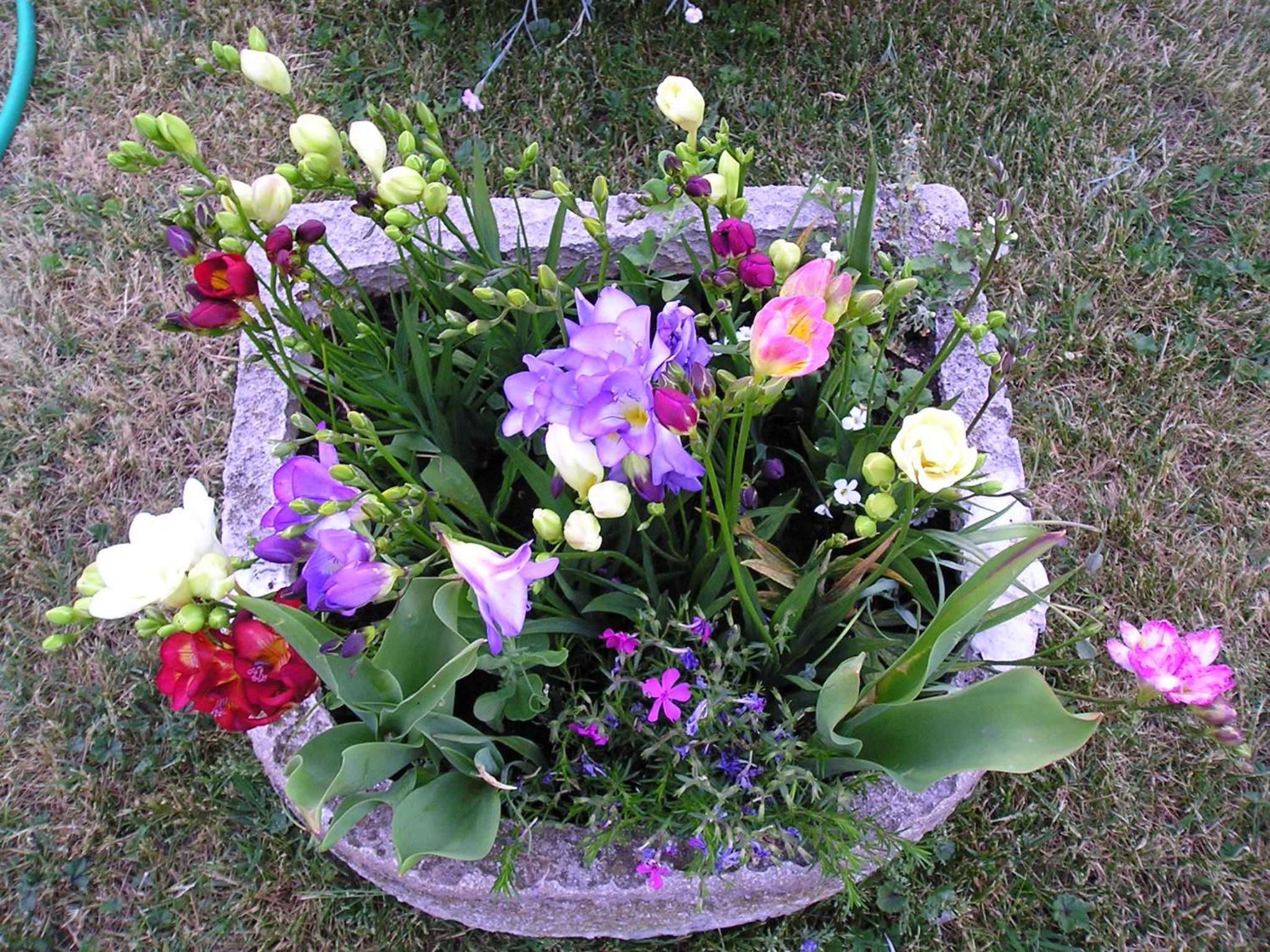 Photo 13