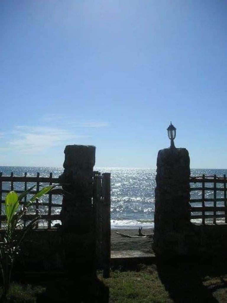 Photo 31