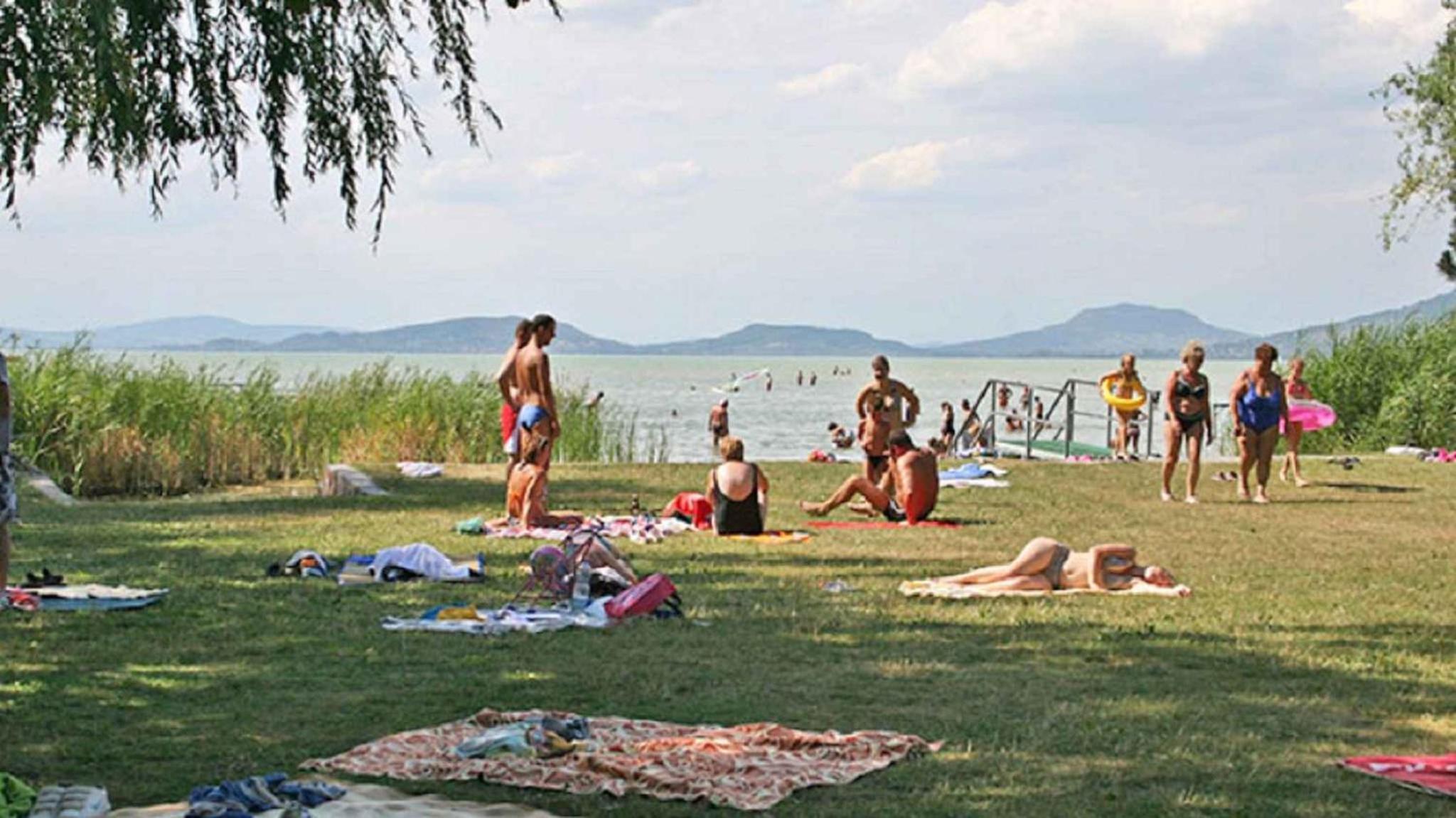 Holiday home in Balatonfenyves 18335 view 3