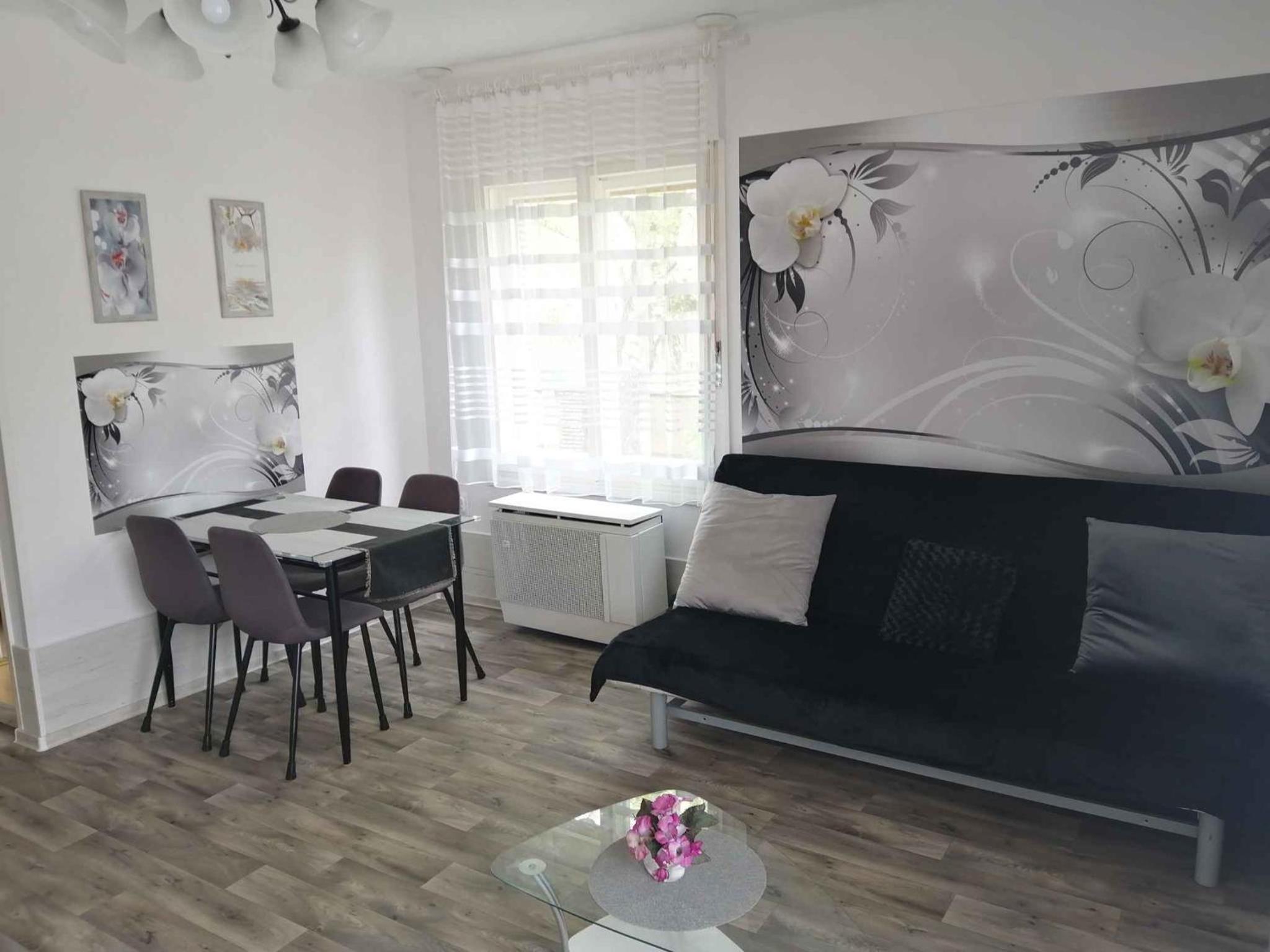 Apartments in Balatonfenyves 18413 view 3