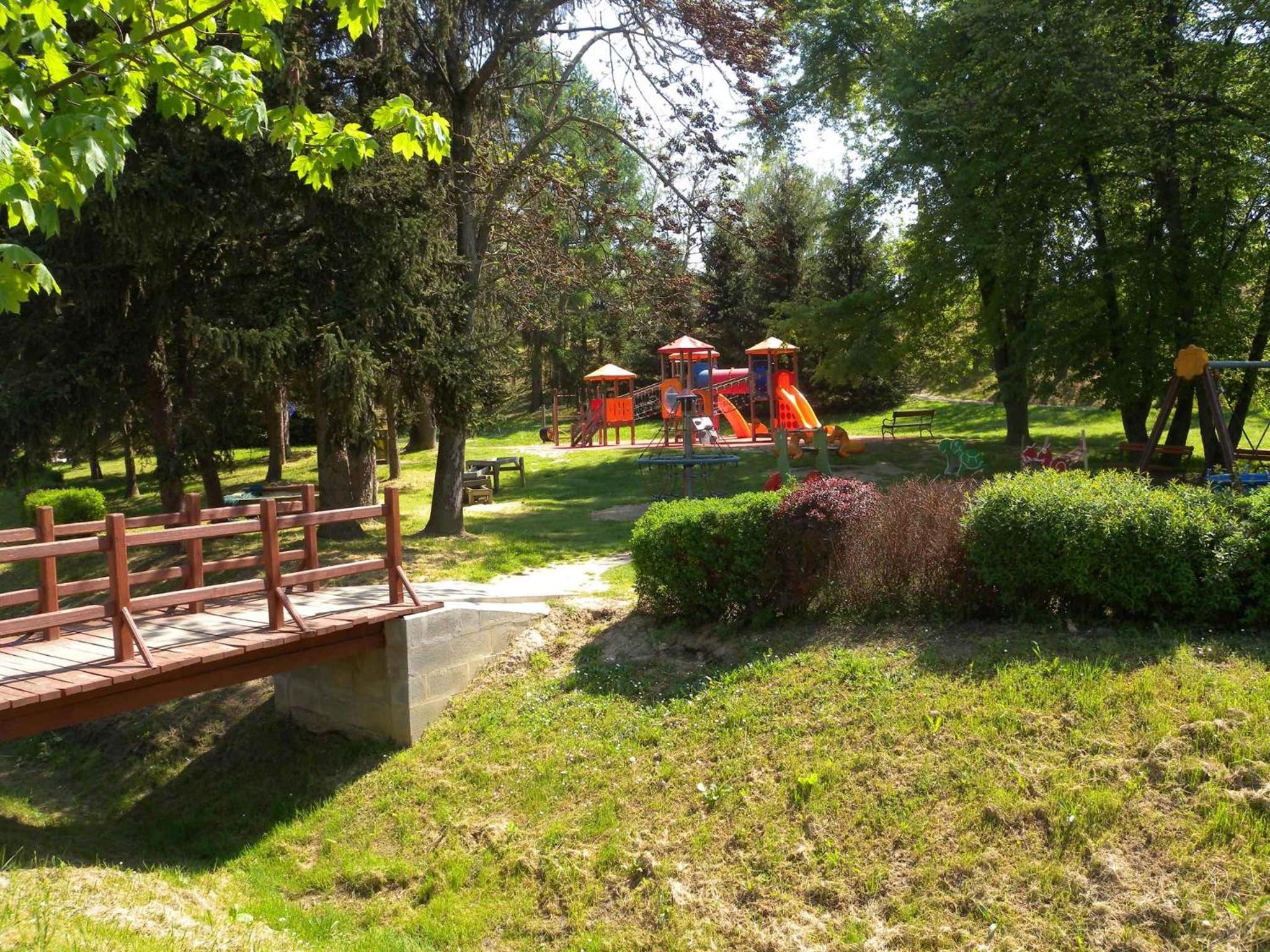 Photo 41