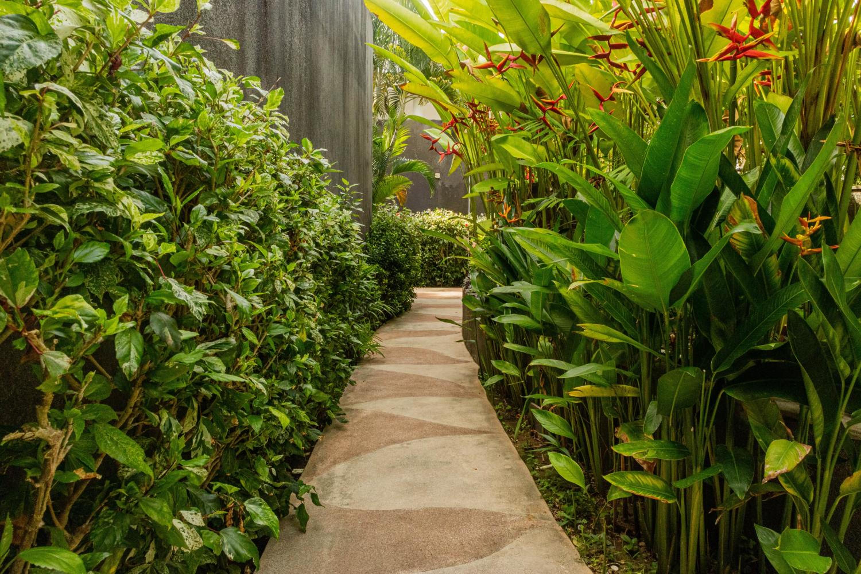 Taman Mesari Luxury Villas-Seminyak