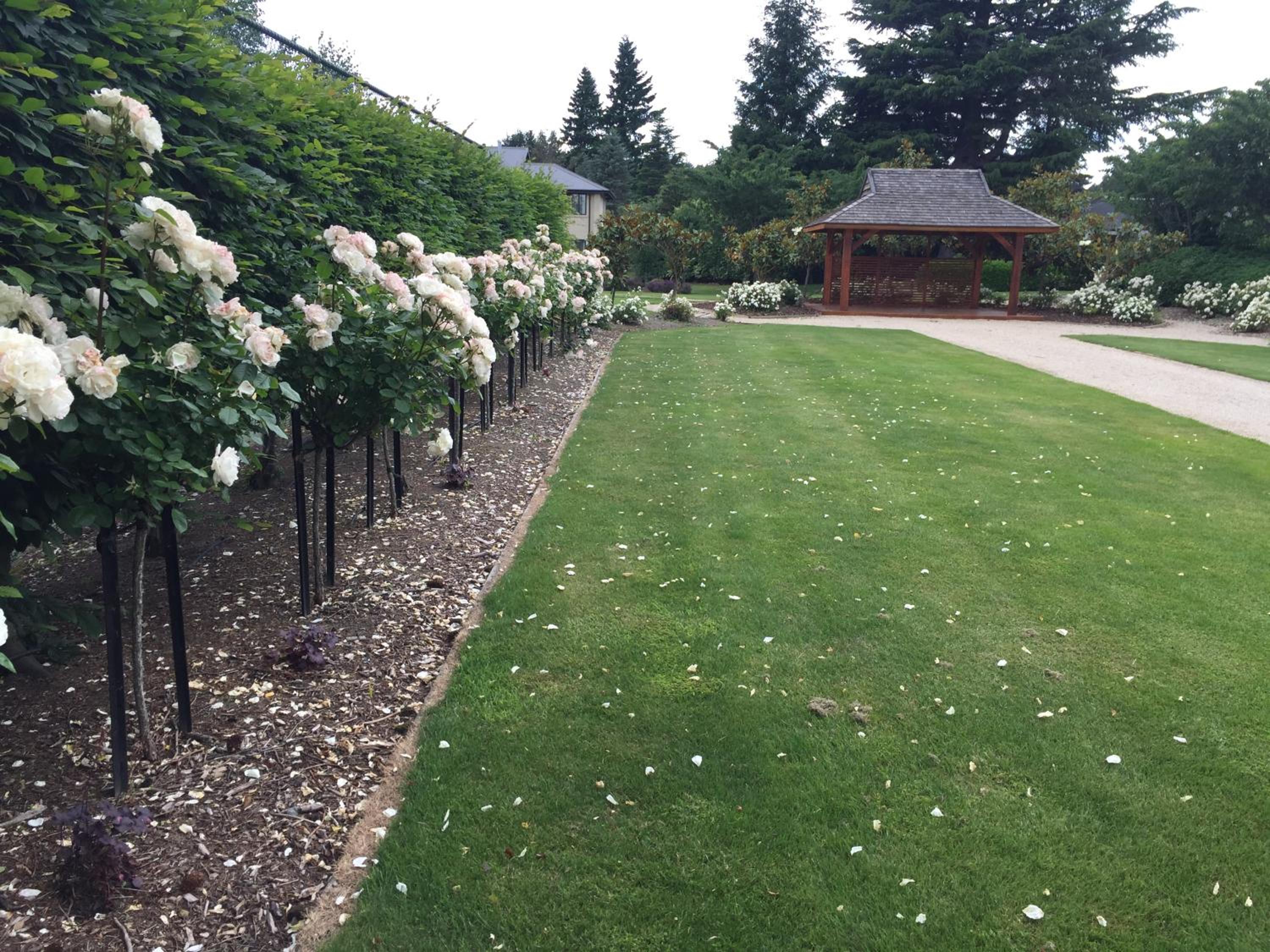 Hanmer Garden Suites