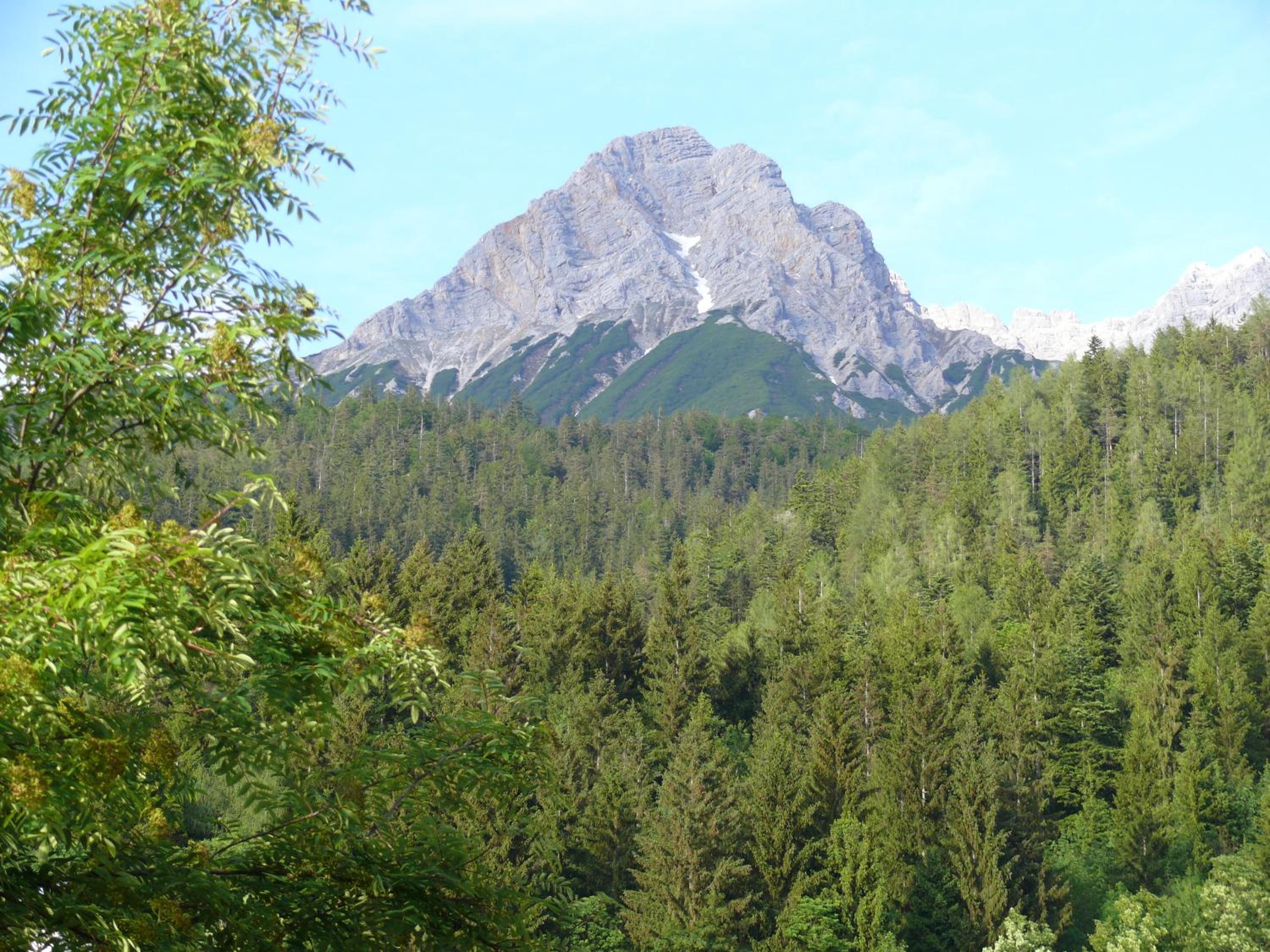 Photo 38