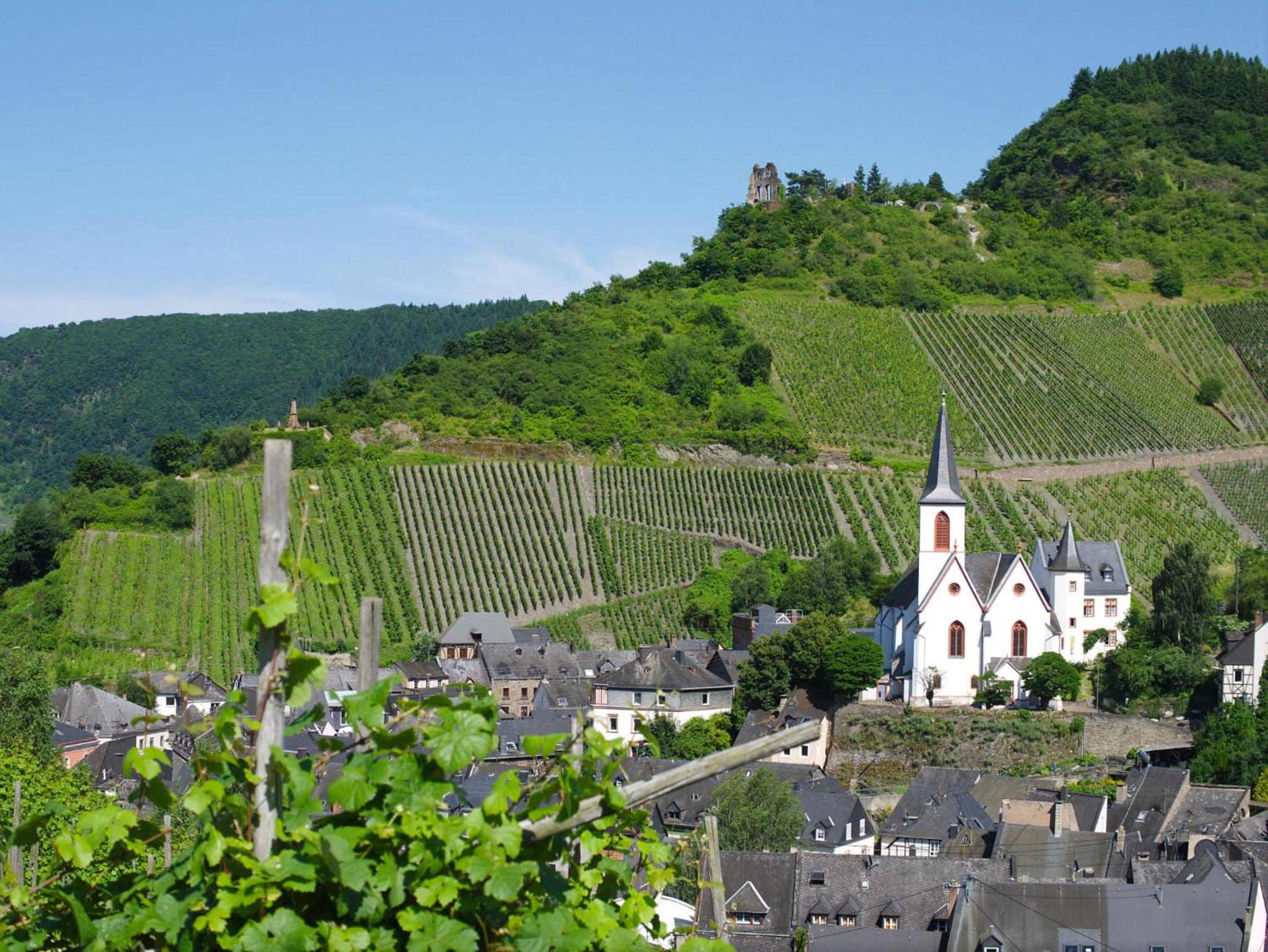 Ferienwohnungen-Traben-Trarbach