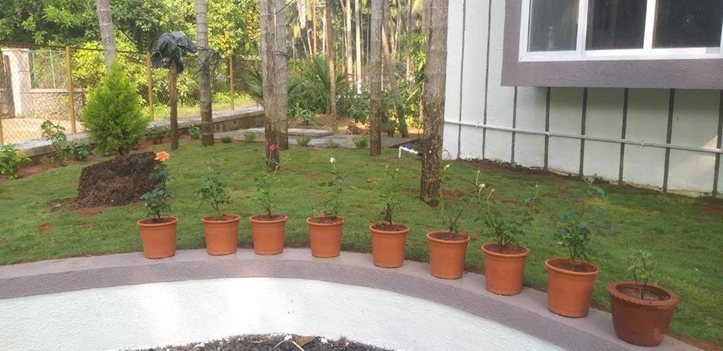 Villa Atharva view 5