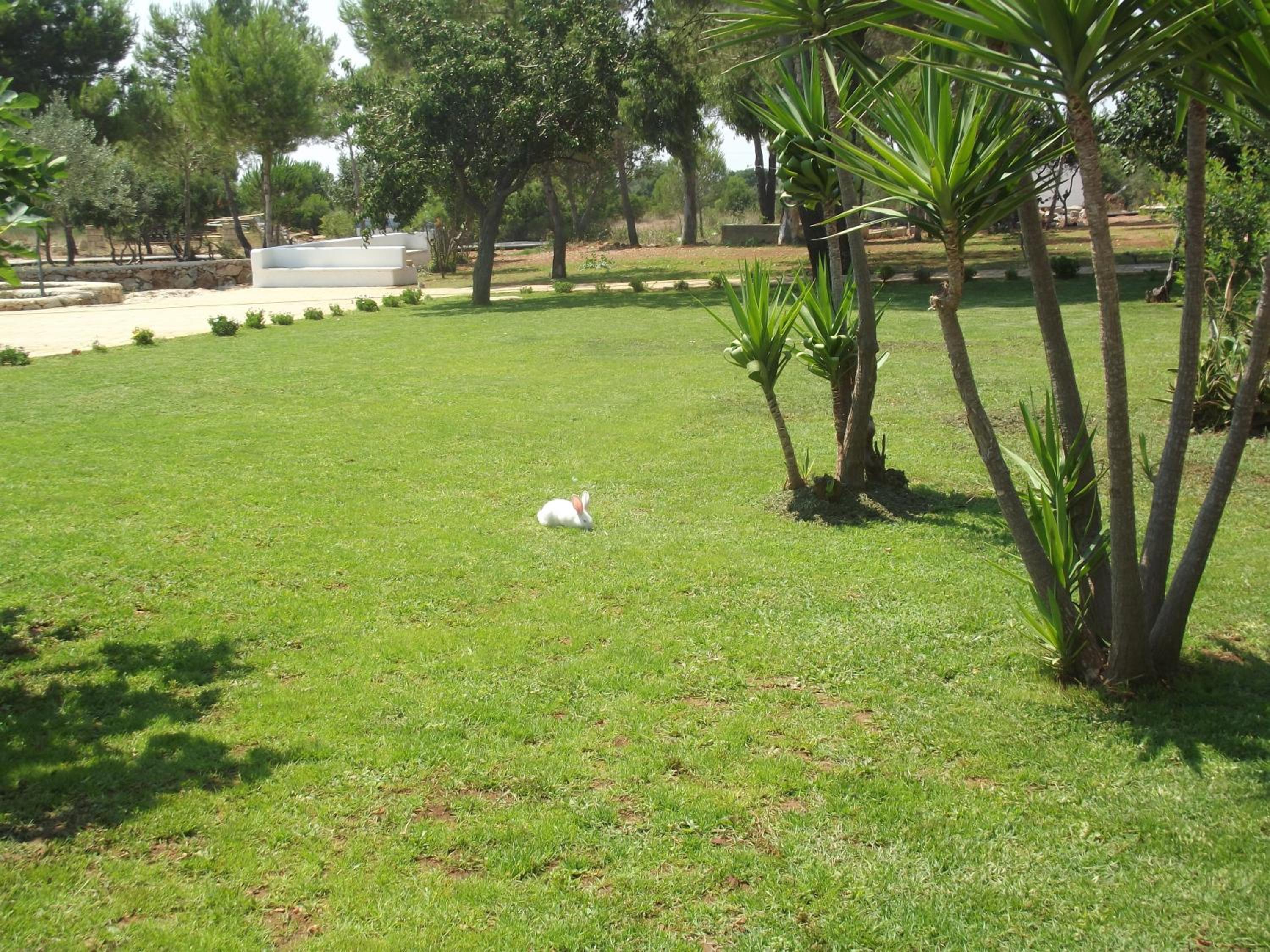 Photo 54