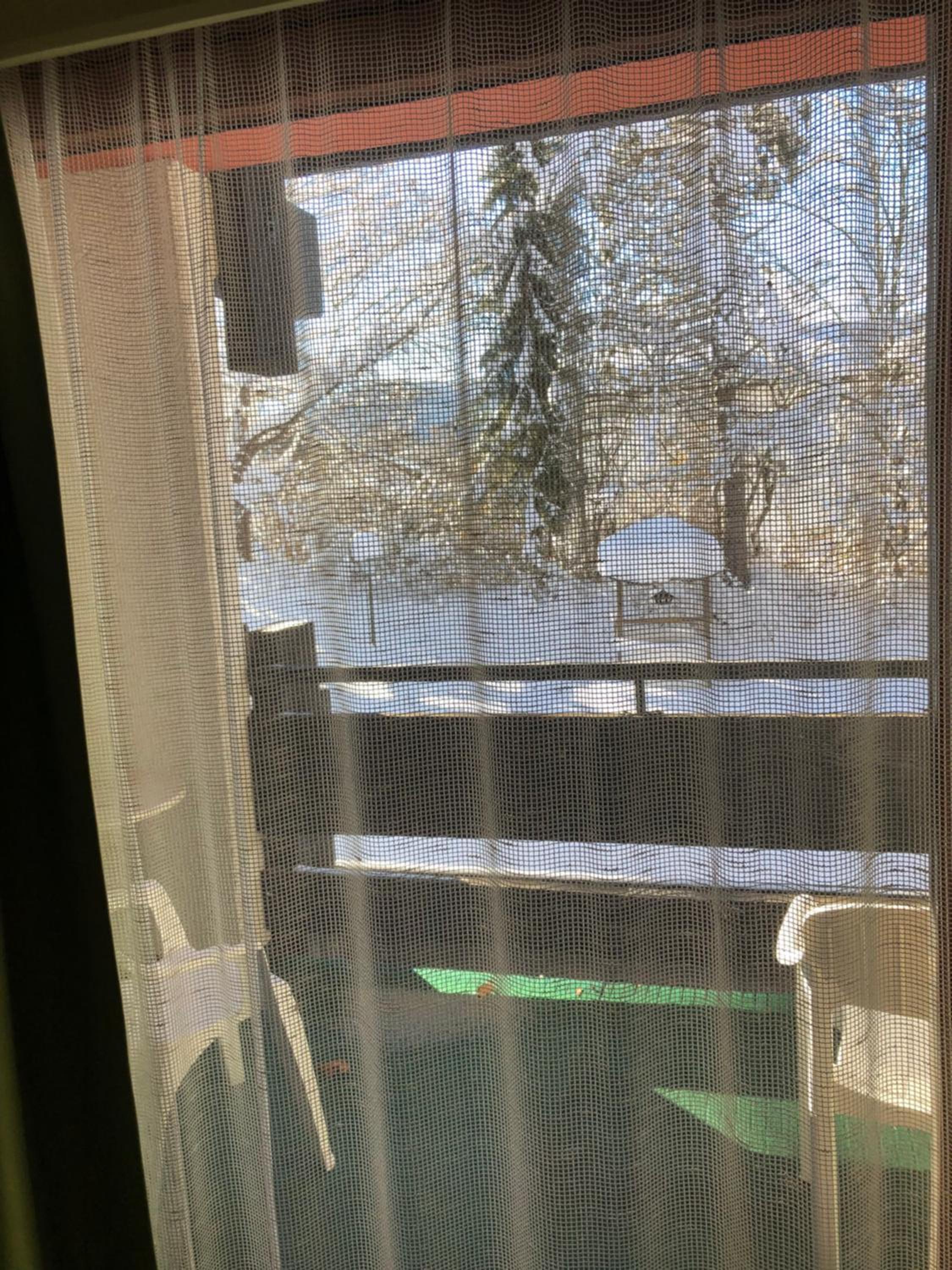 B&B in Seefeld