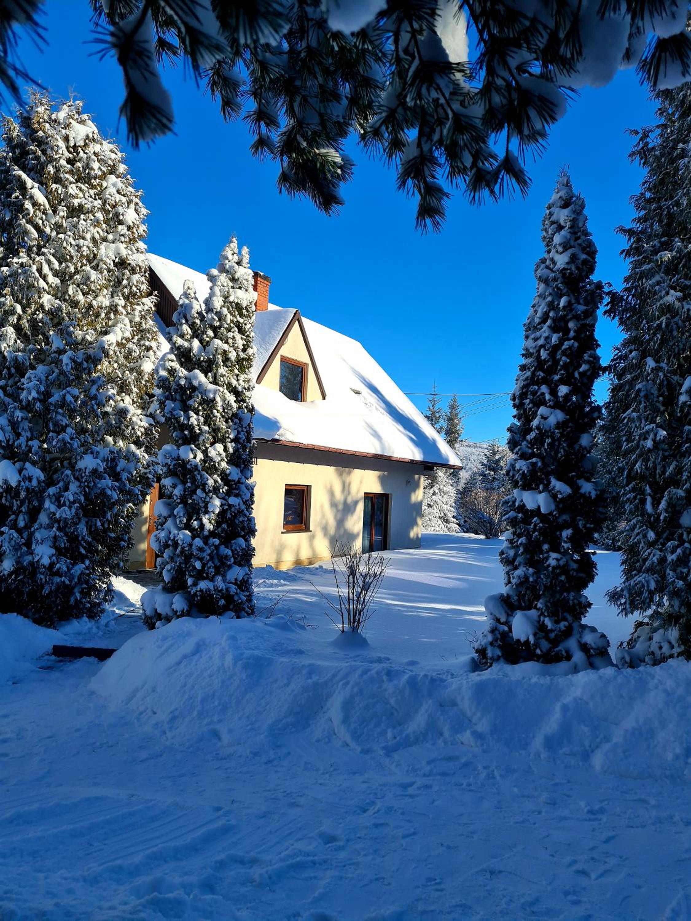 Photo 16