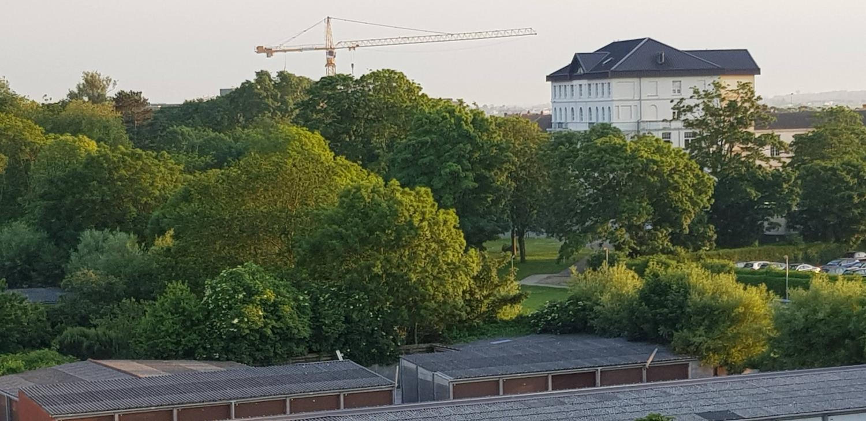 Bonheur