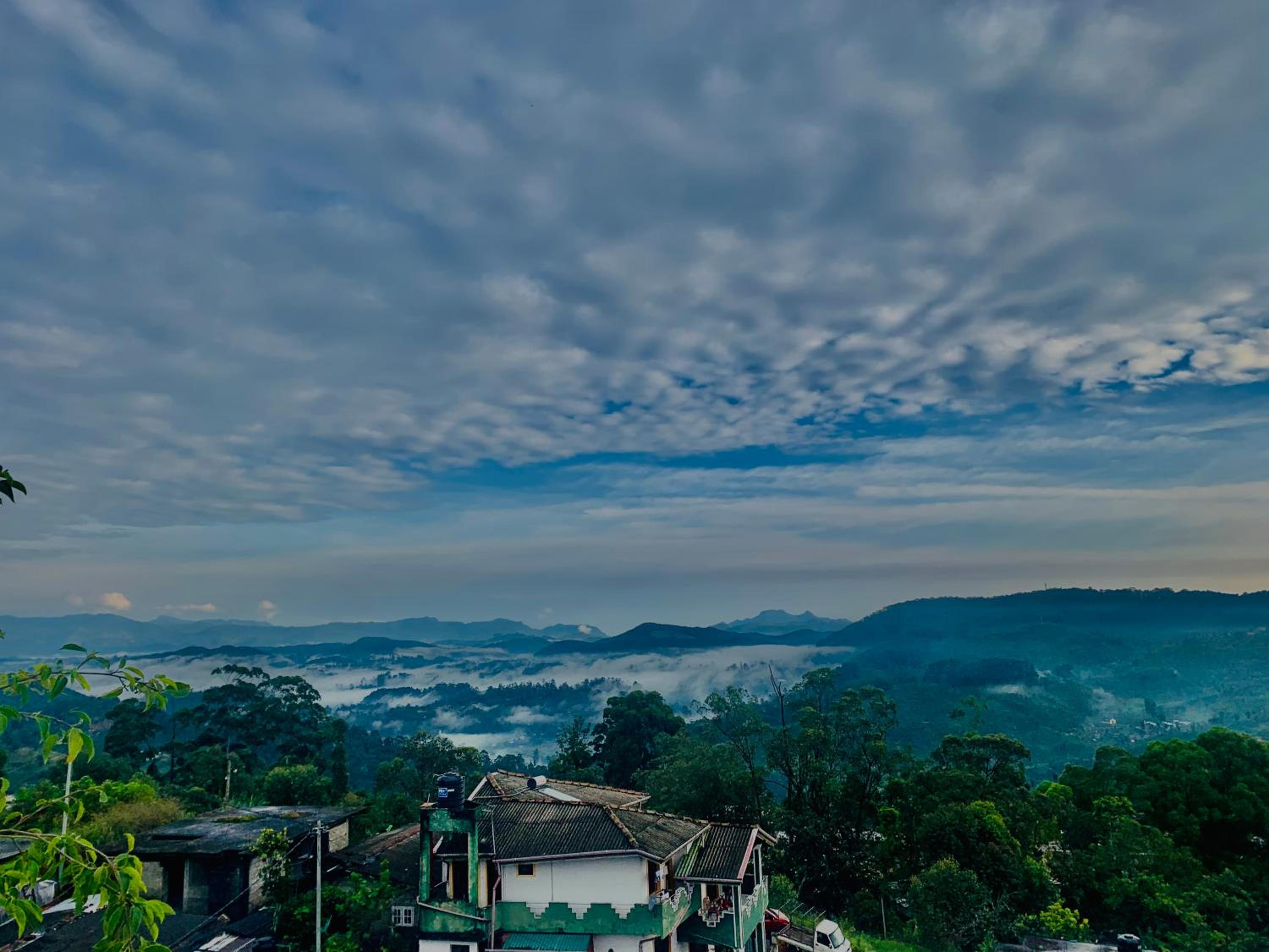 The Fog House