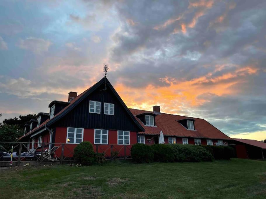 Wildernest Bornholm - Fasanen