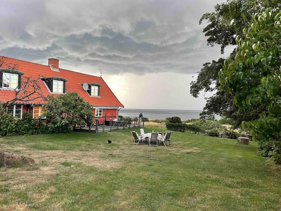 Wildernest Bornholm - Fasanen