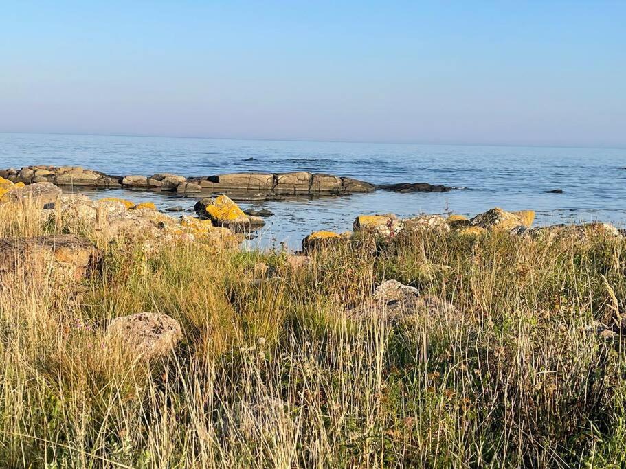 Wildernest Bornholm - Fasanen